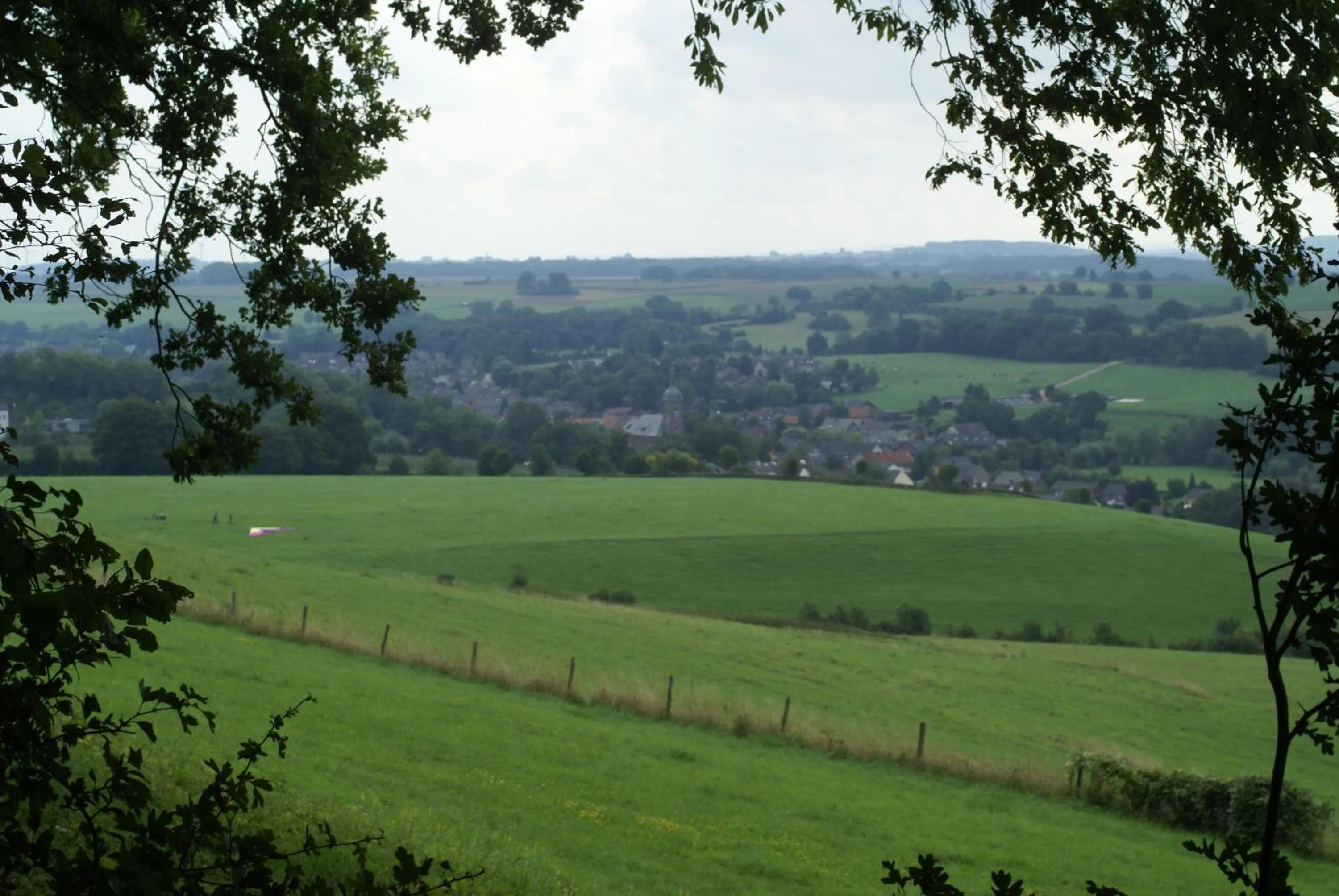 Natural landscape in Hotel Bemelmans