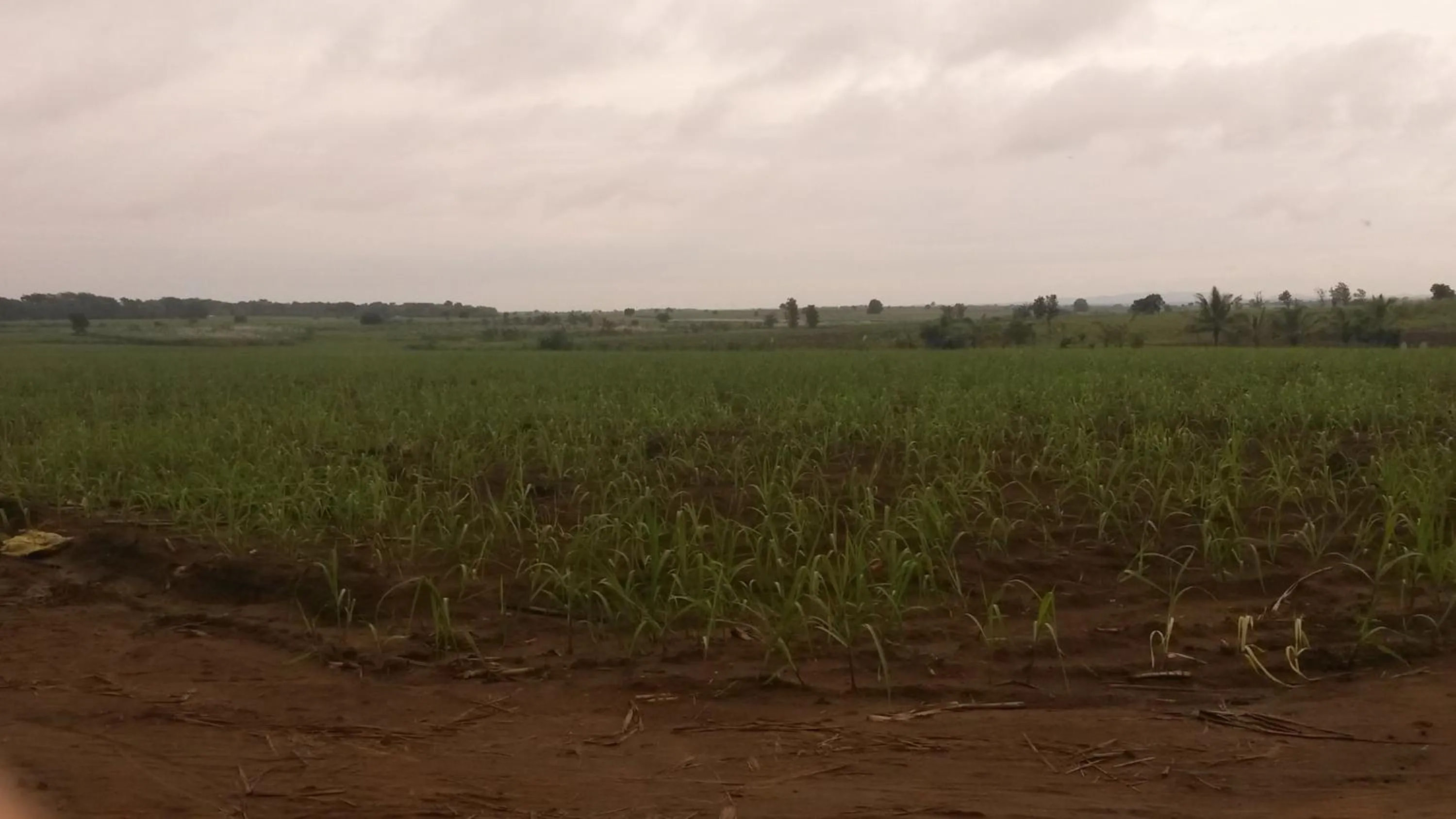 View (from property/room) in Hotel Gayan's