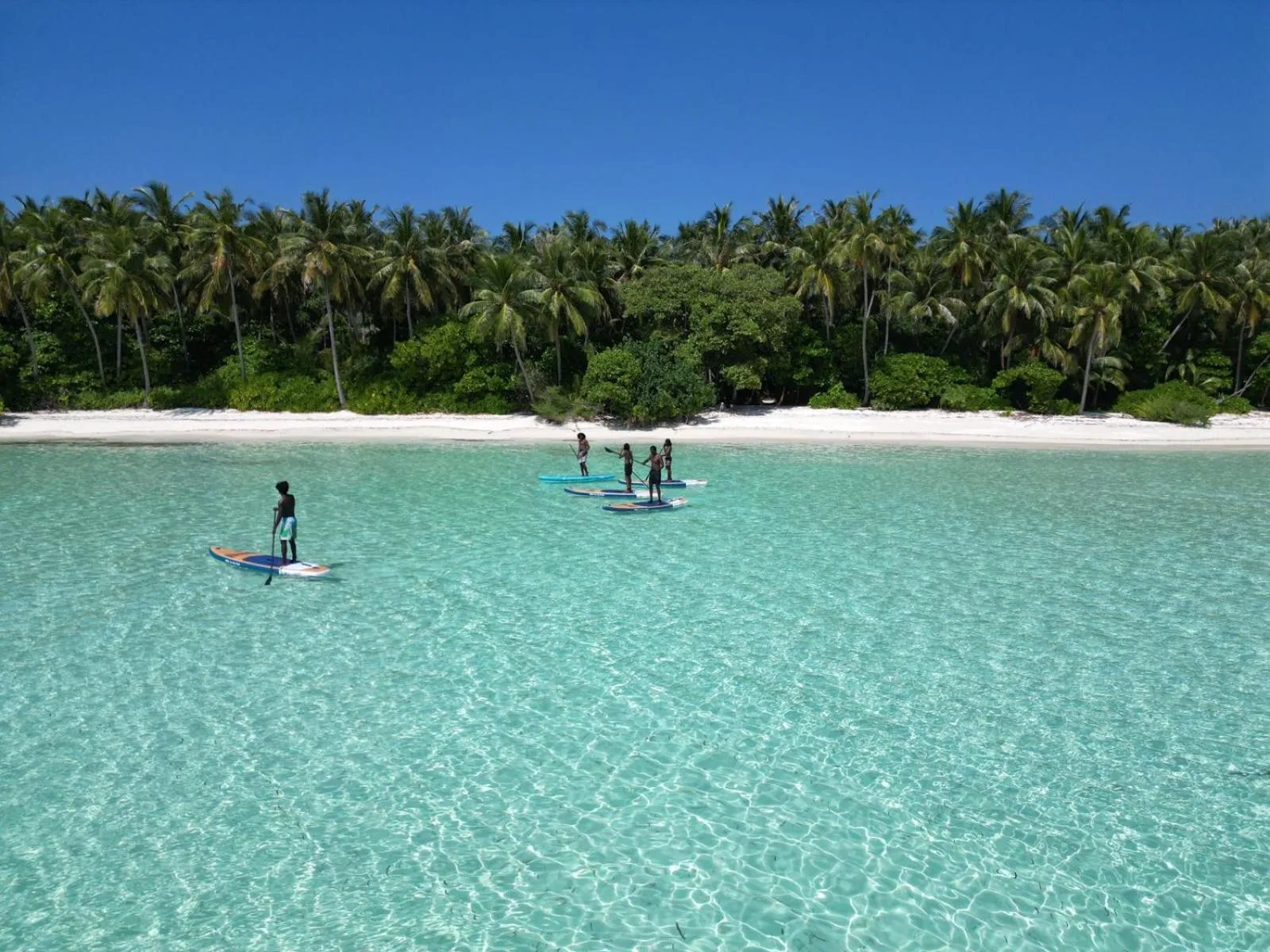 Activities in Isla Retreat