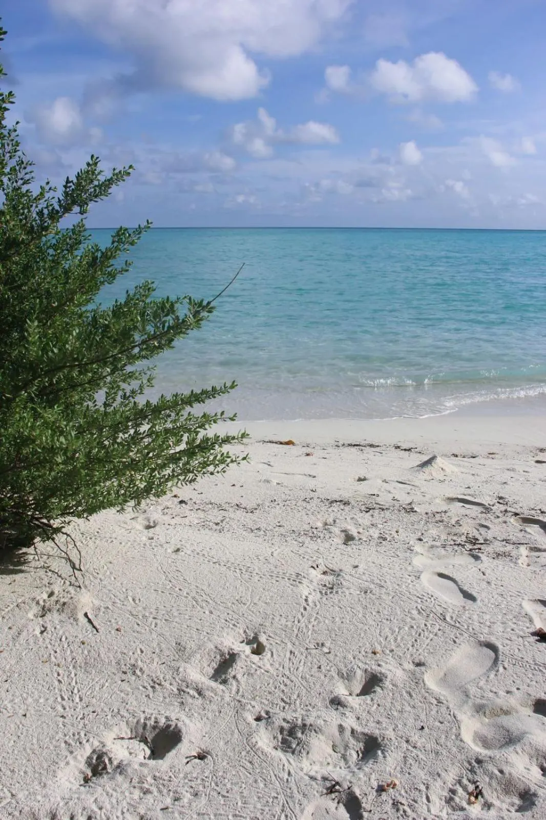 Natural landscape in Isla Retreat