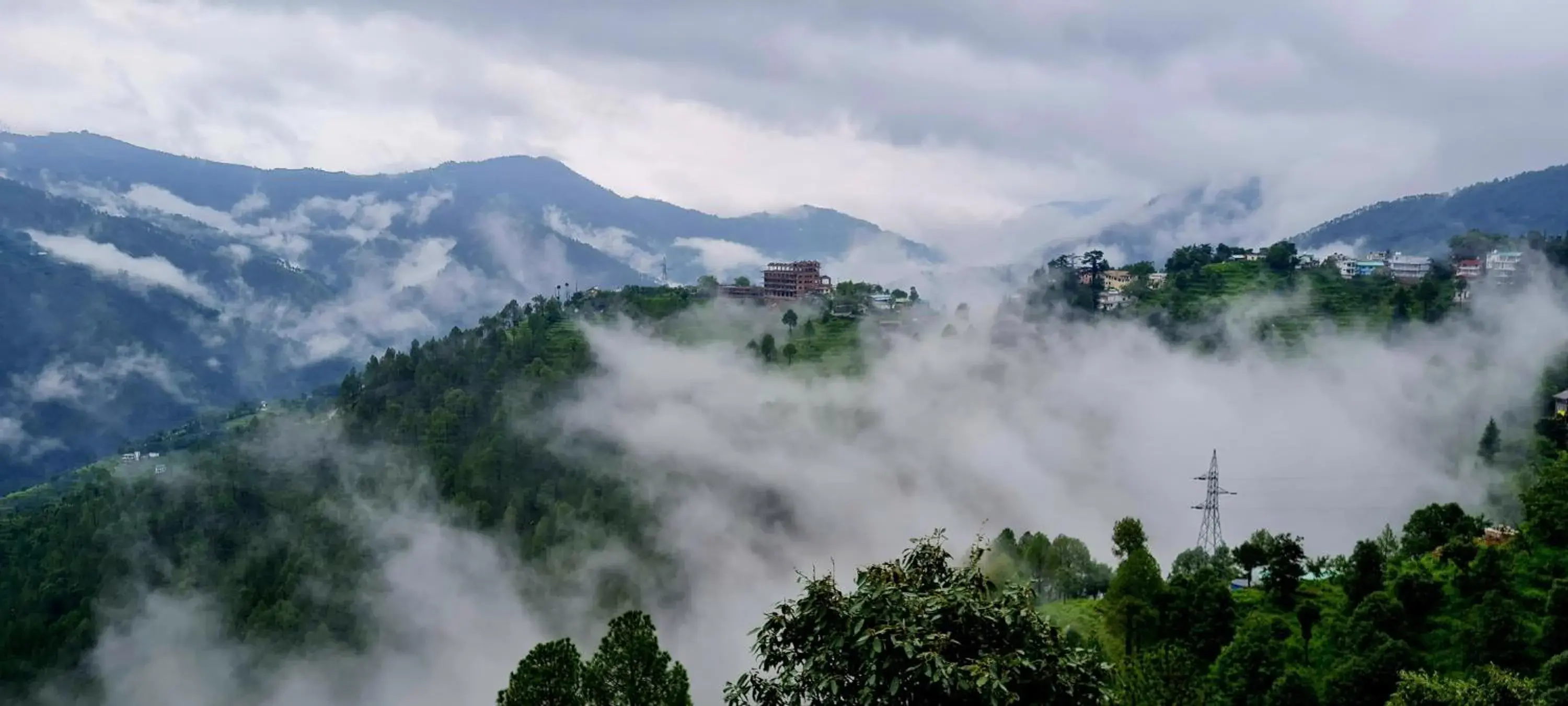 The Pluck- Boutique Luxury Homestay The Pluck- Boutique Luxury Homestay