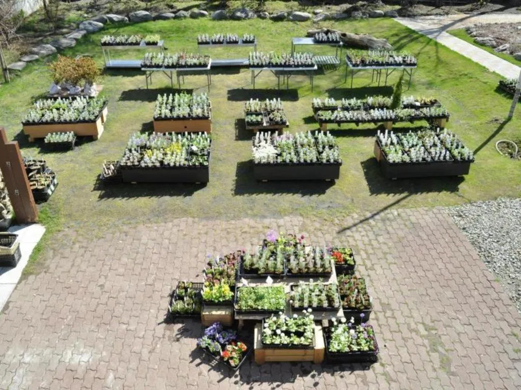 Ryobou Hanaemi Hotel