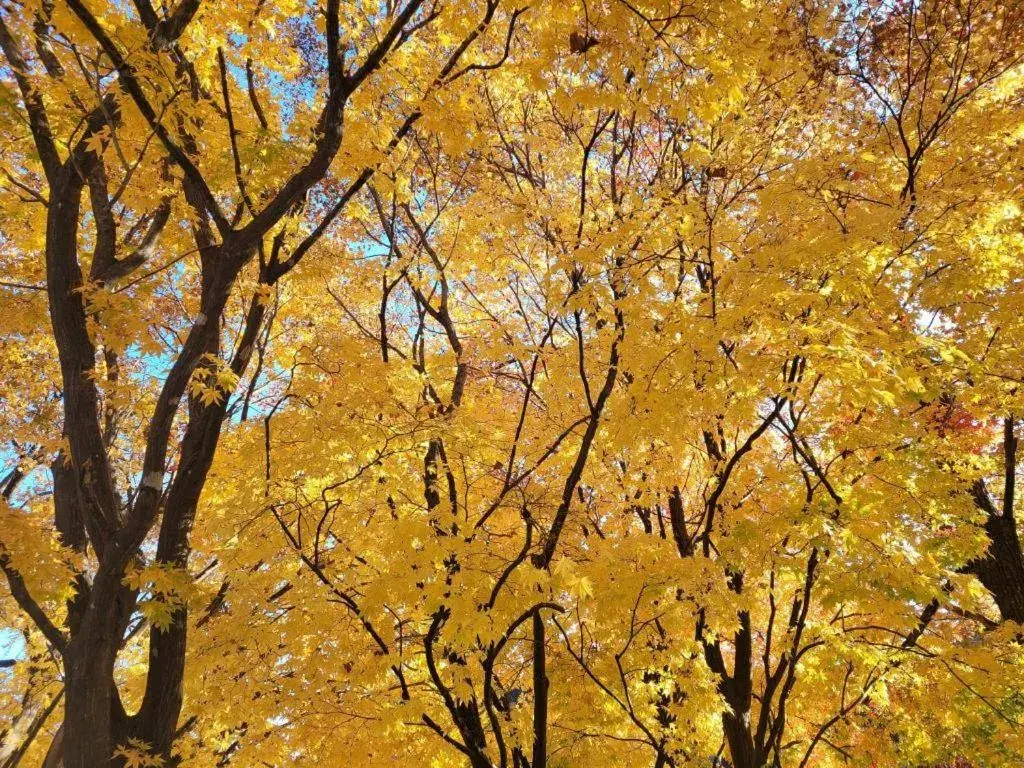 Seorak Mt., The East Sea and hot spring Seorak Mt., The East Sea and hot spring