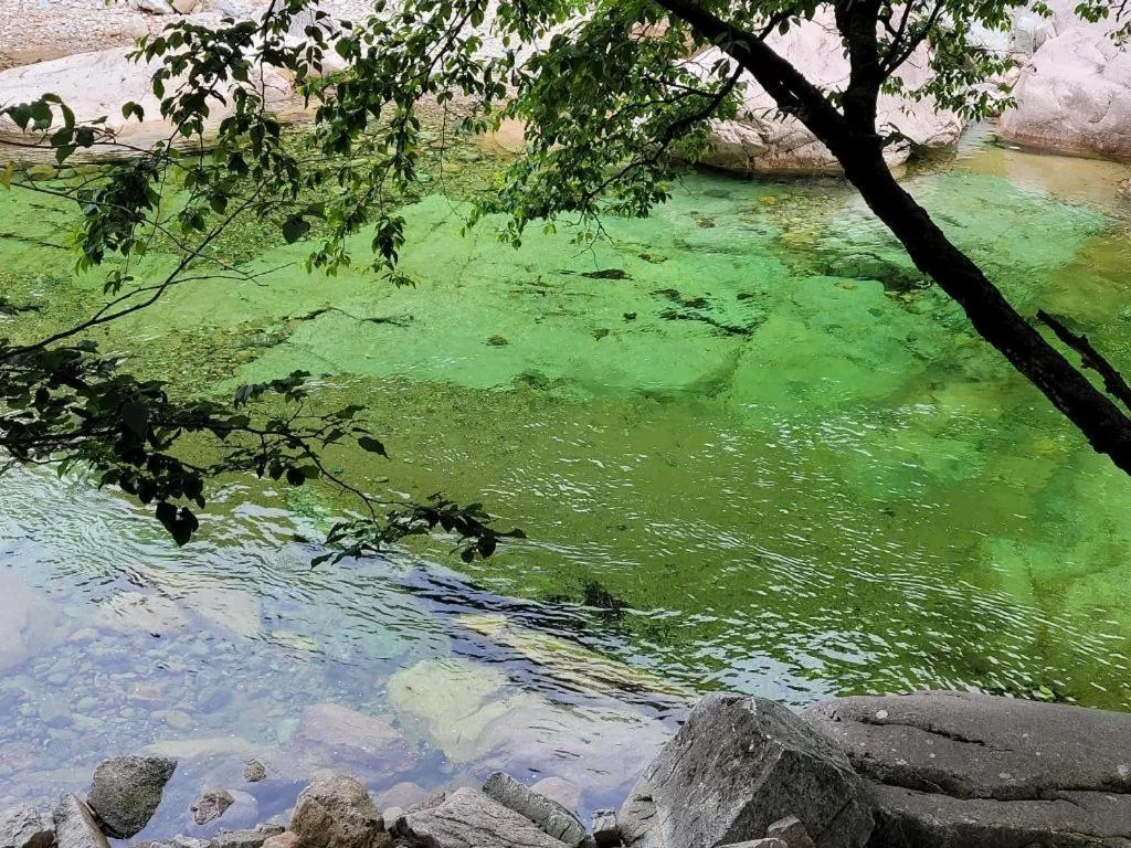 Seorak Mt., The East Sea and hot spring