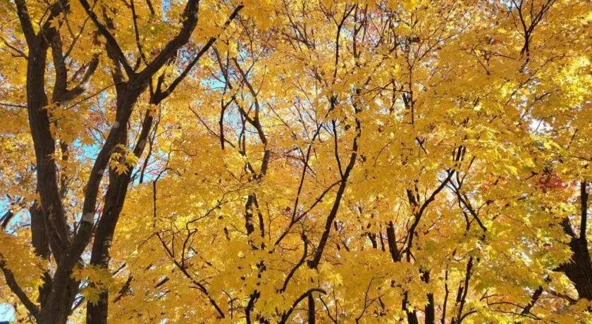 Seorak Mt., The East Sea and hot spring Seorak Mt., The East Sea and hot spring