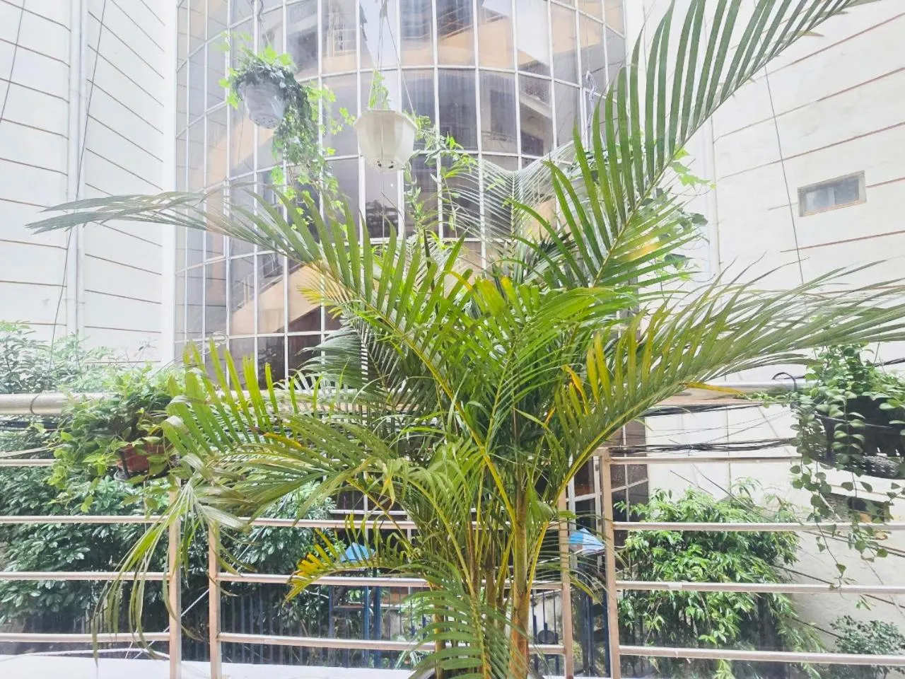 Garden in OH Trendy homes Hoan Kiem PNL1