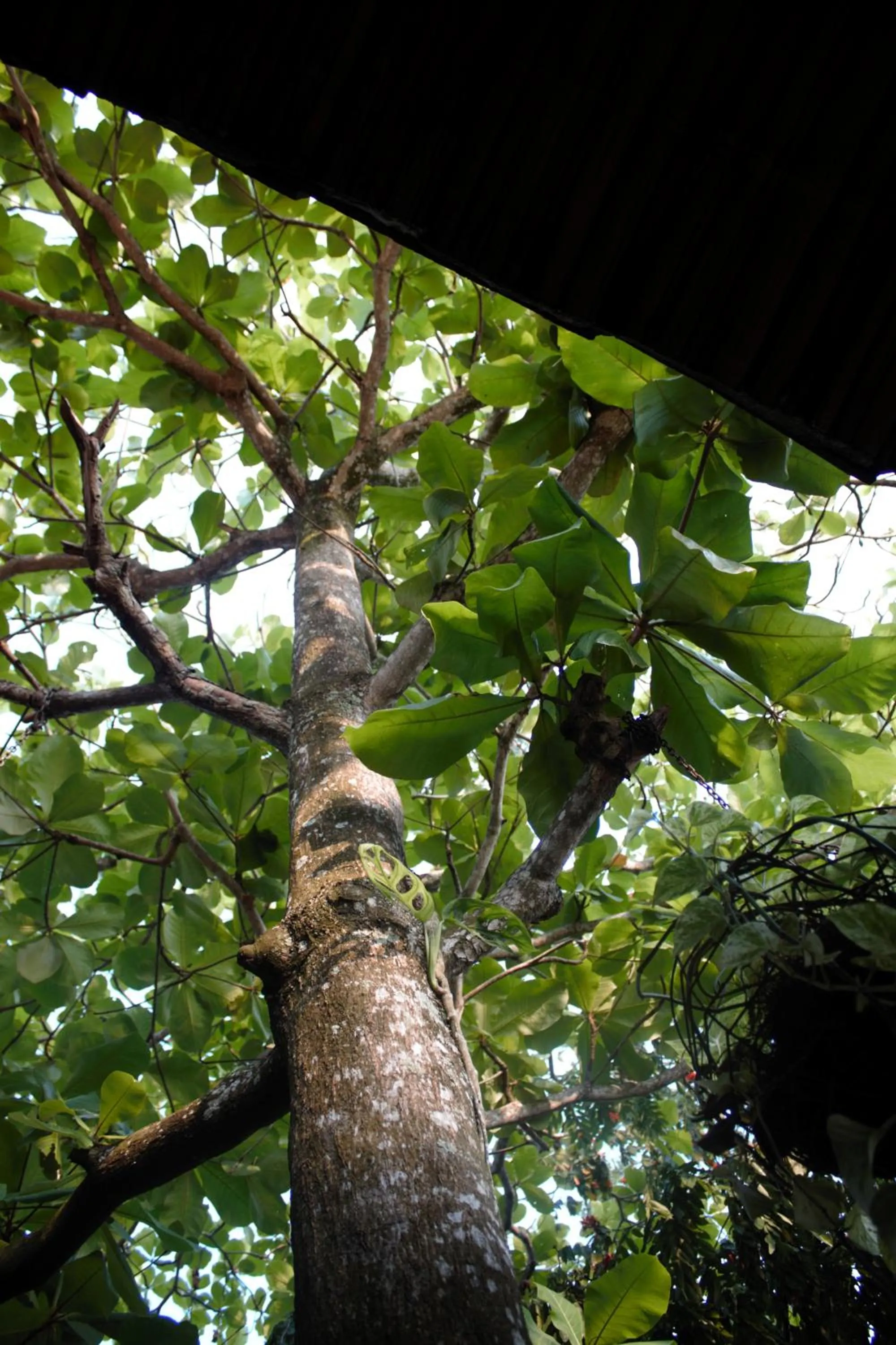 Natural landscape in Hotel Parador del Gitano