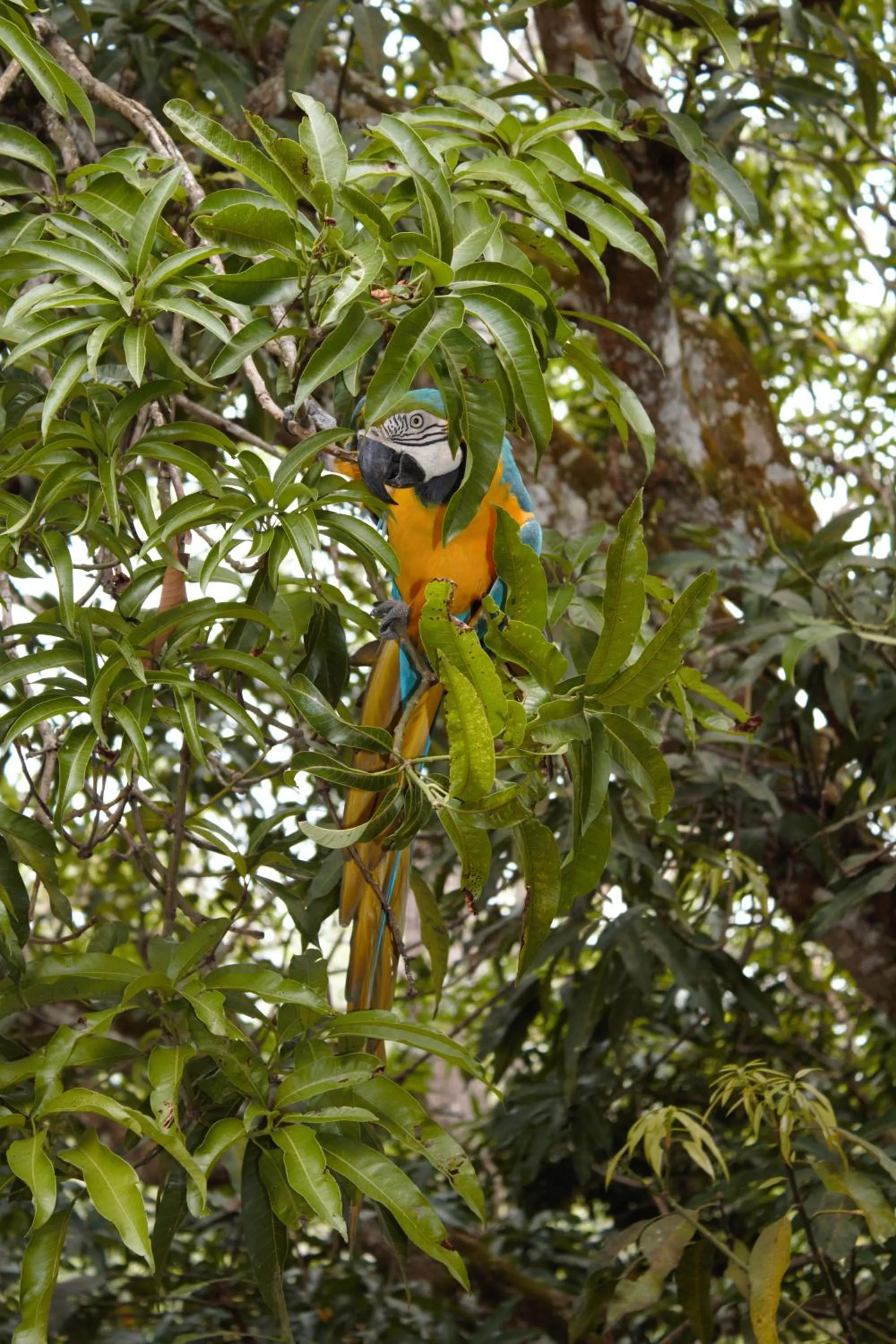 Garden in Hotel Parador del Gitano