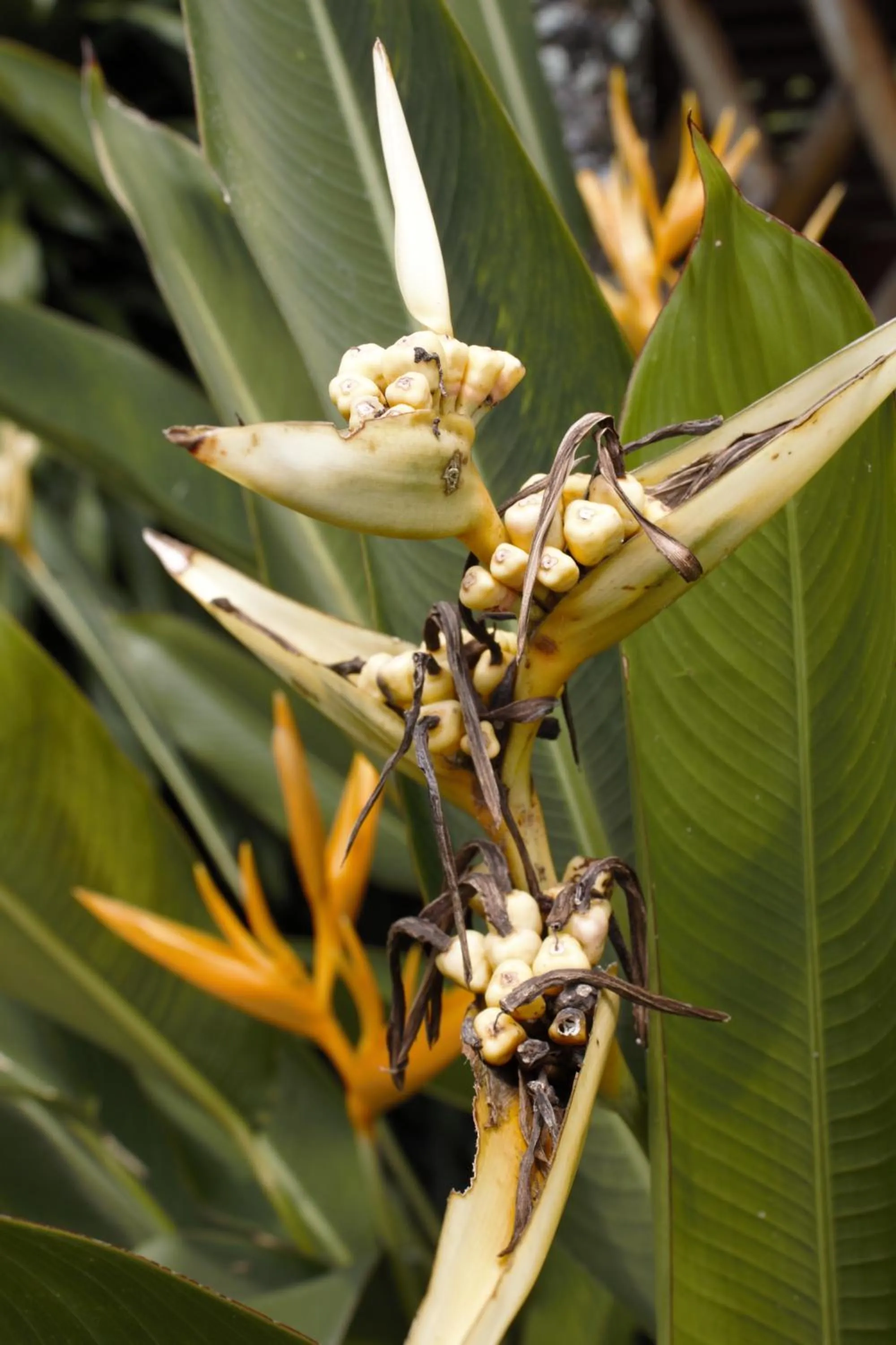 Natural landscape in Hotel Parador del Gitano