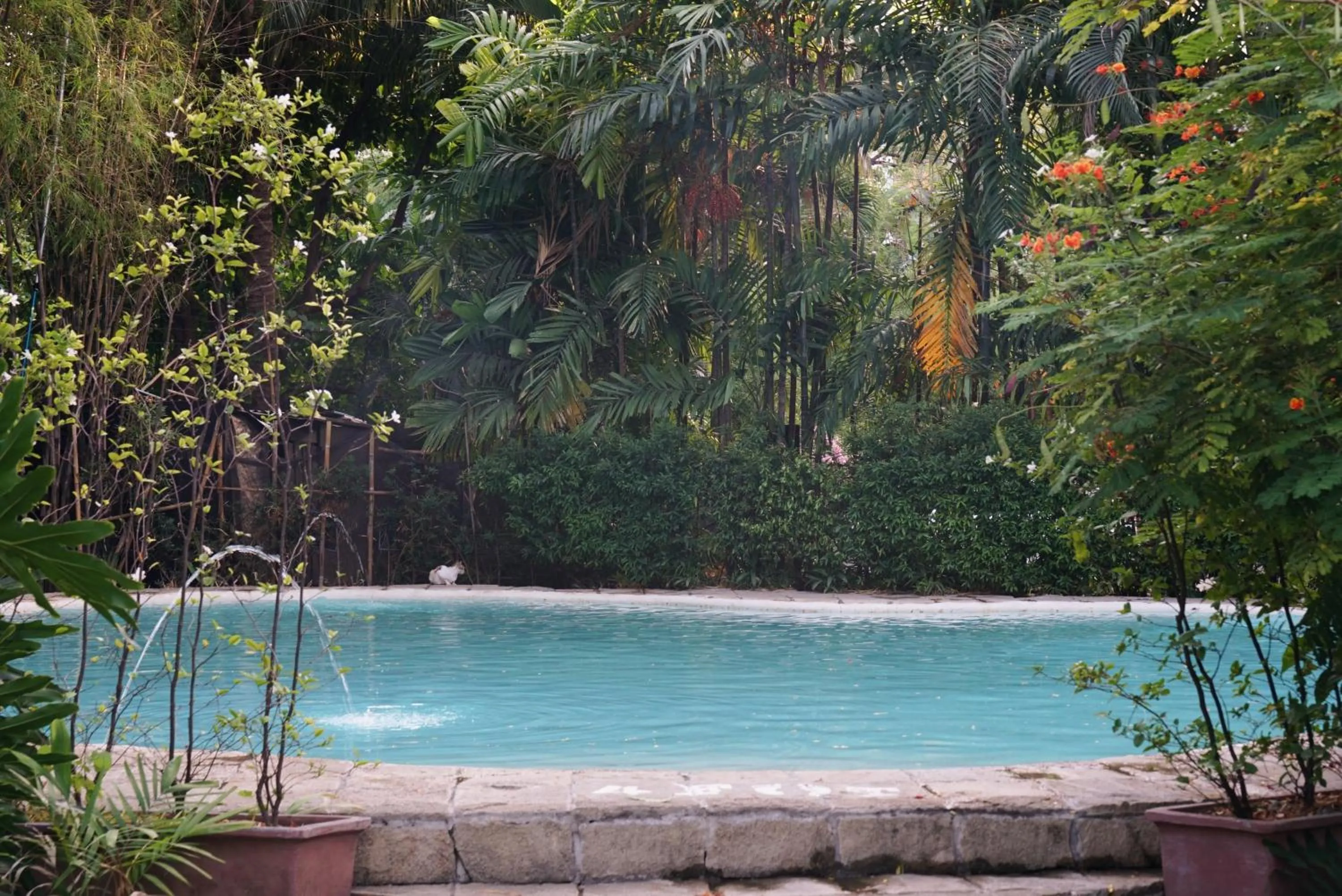 Swimming pool in The Henry Hotel Manila