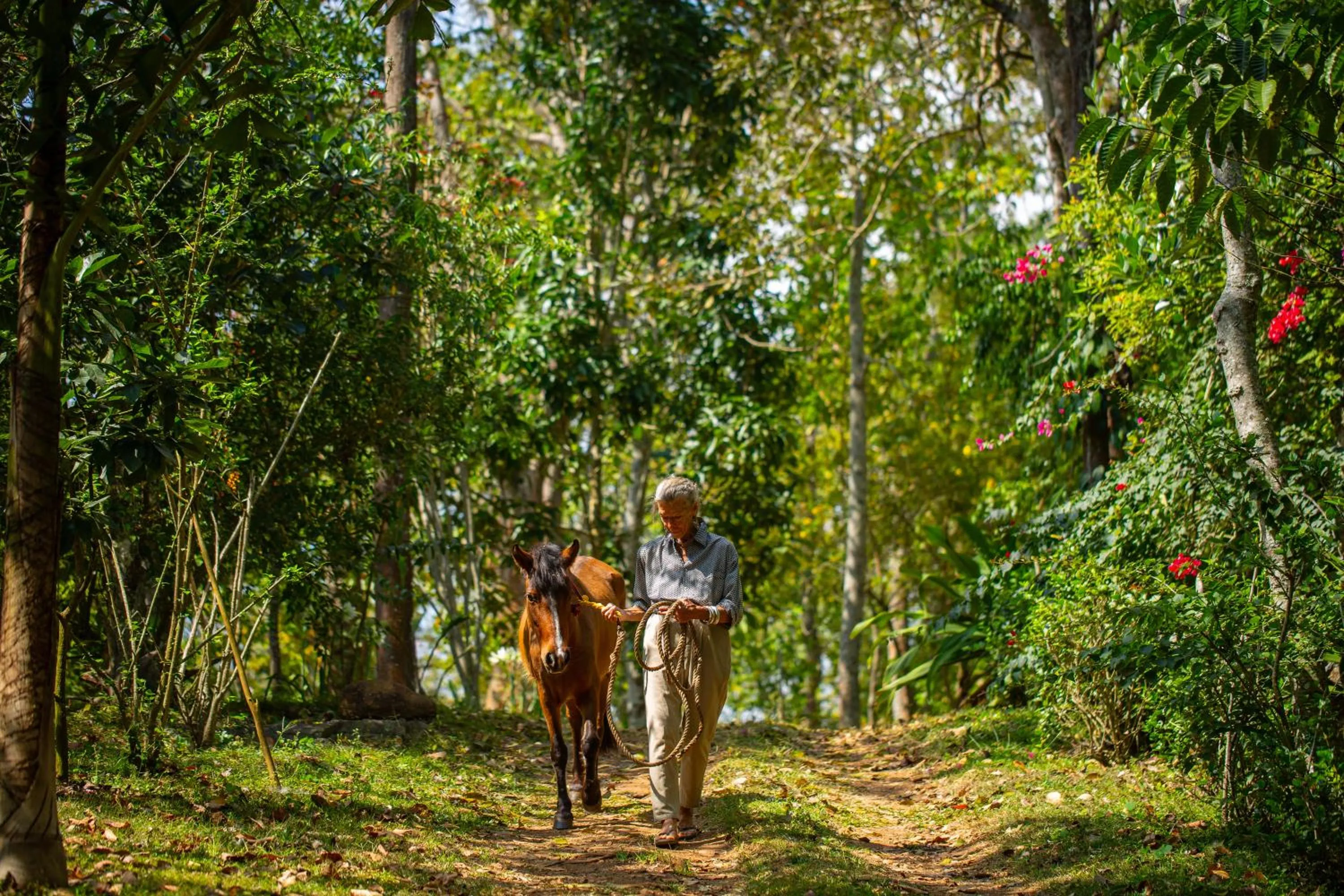 Day in Isla's Ridge - A CGH Earth SAHA Experience
