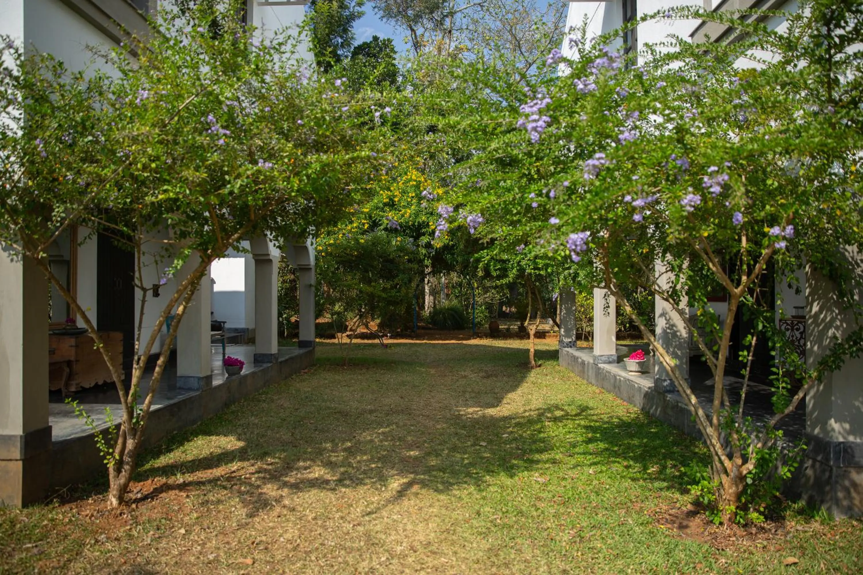 Spring in Isla's Ridge - A CGH Earth SAHA Experience