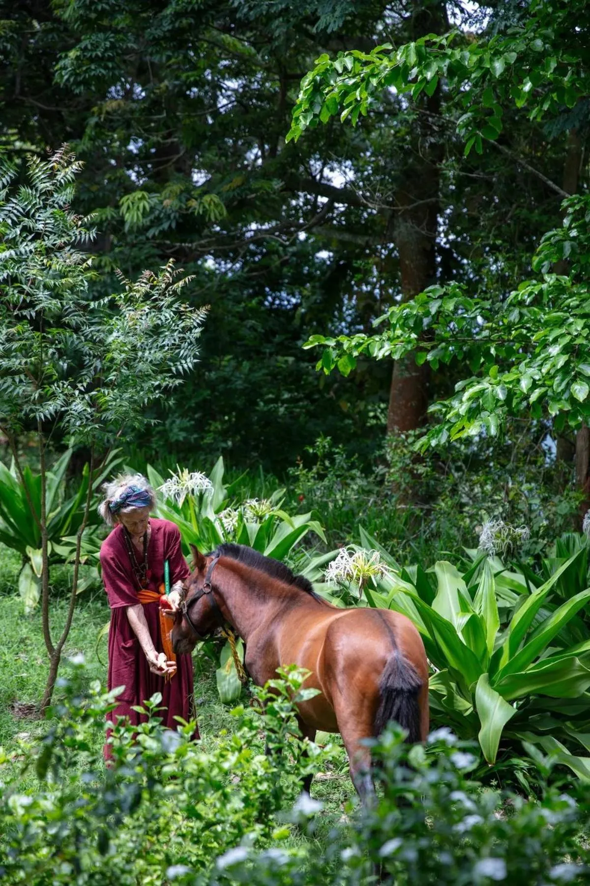 Garden in Isla's Ridge - A CGH Earth SAHA Experience