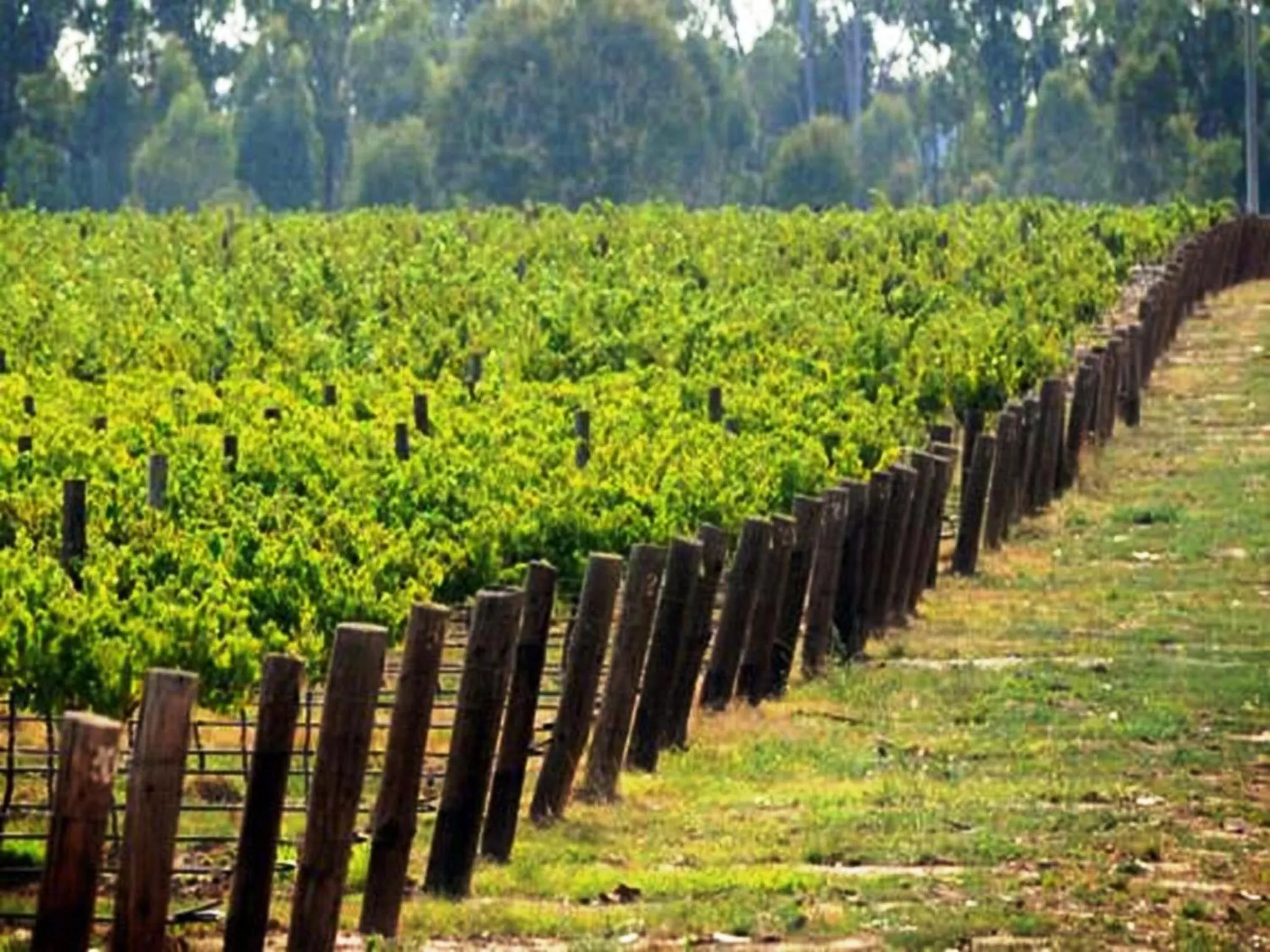 Nearby landmark in Seymour Motel