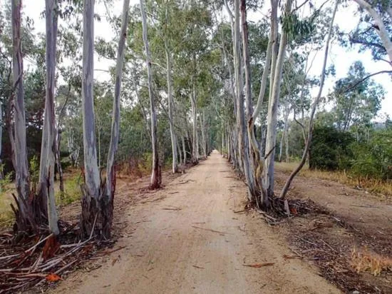 Neighbourhood in Seymour Motel