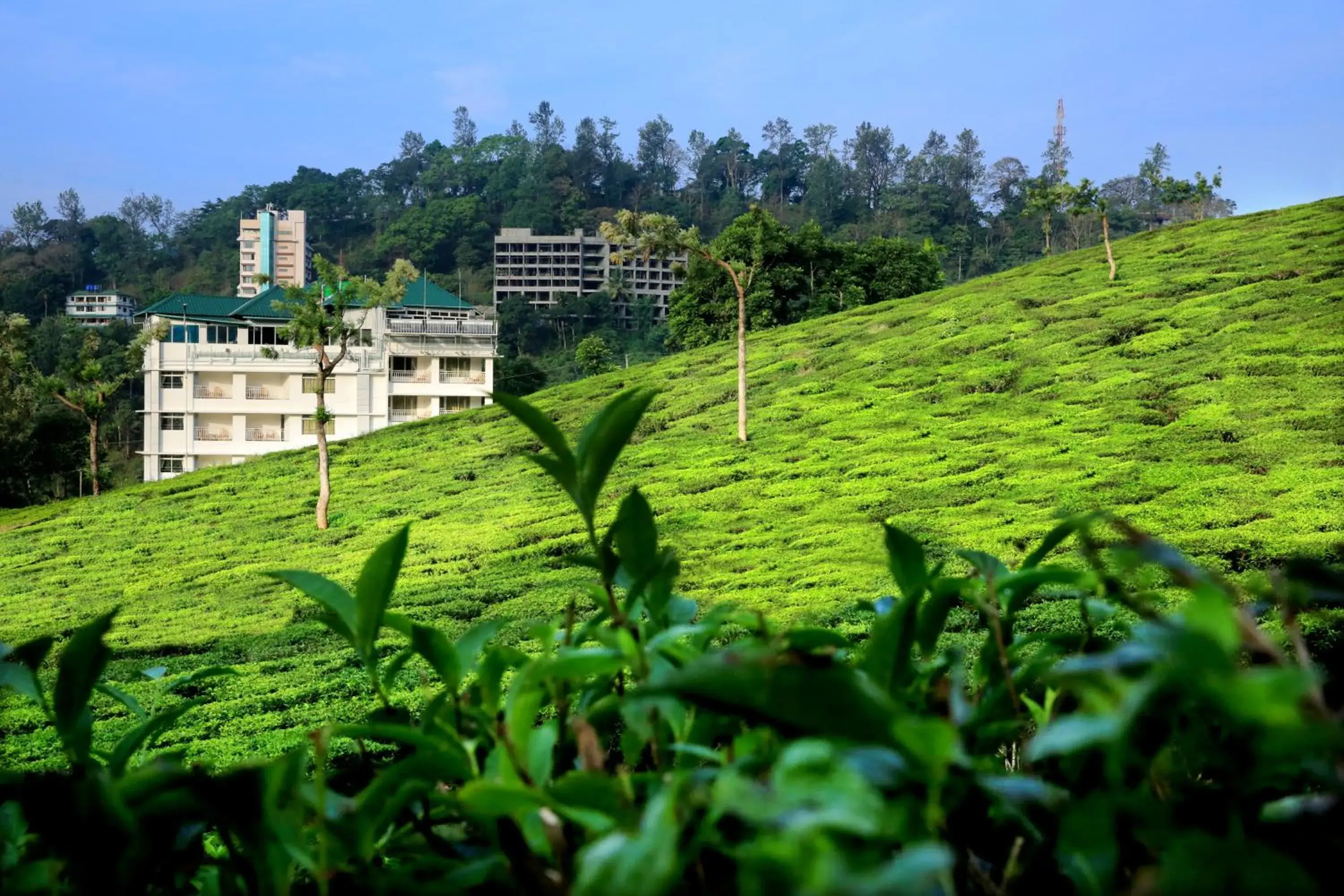 Property building in Monsoon Grande Property building in Monsoon Grande