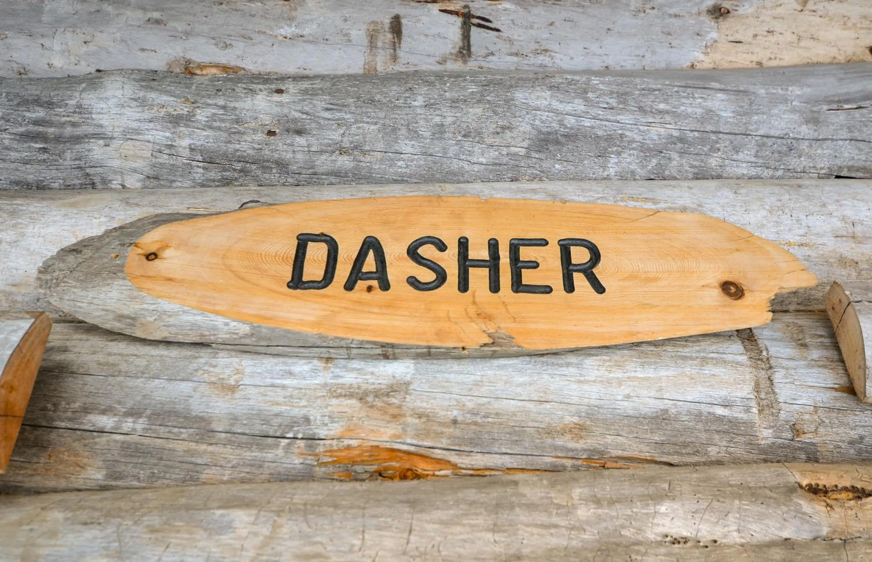 Dasher Apartment