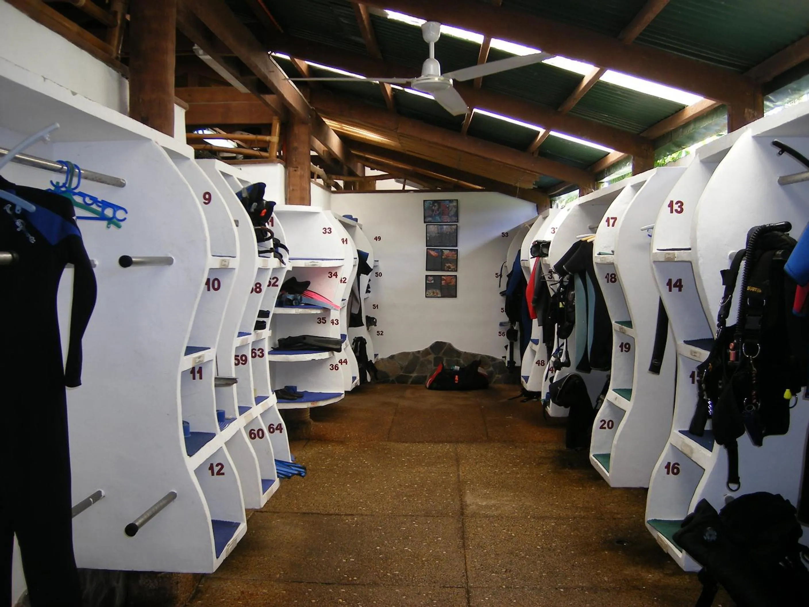 Diving in Atlantis Dive Resort Dumaguete