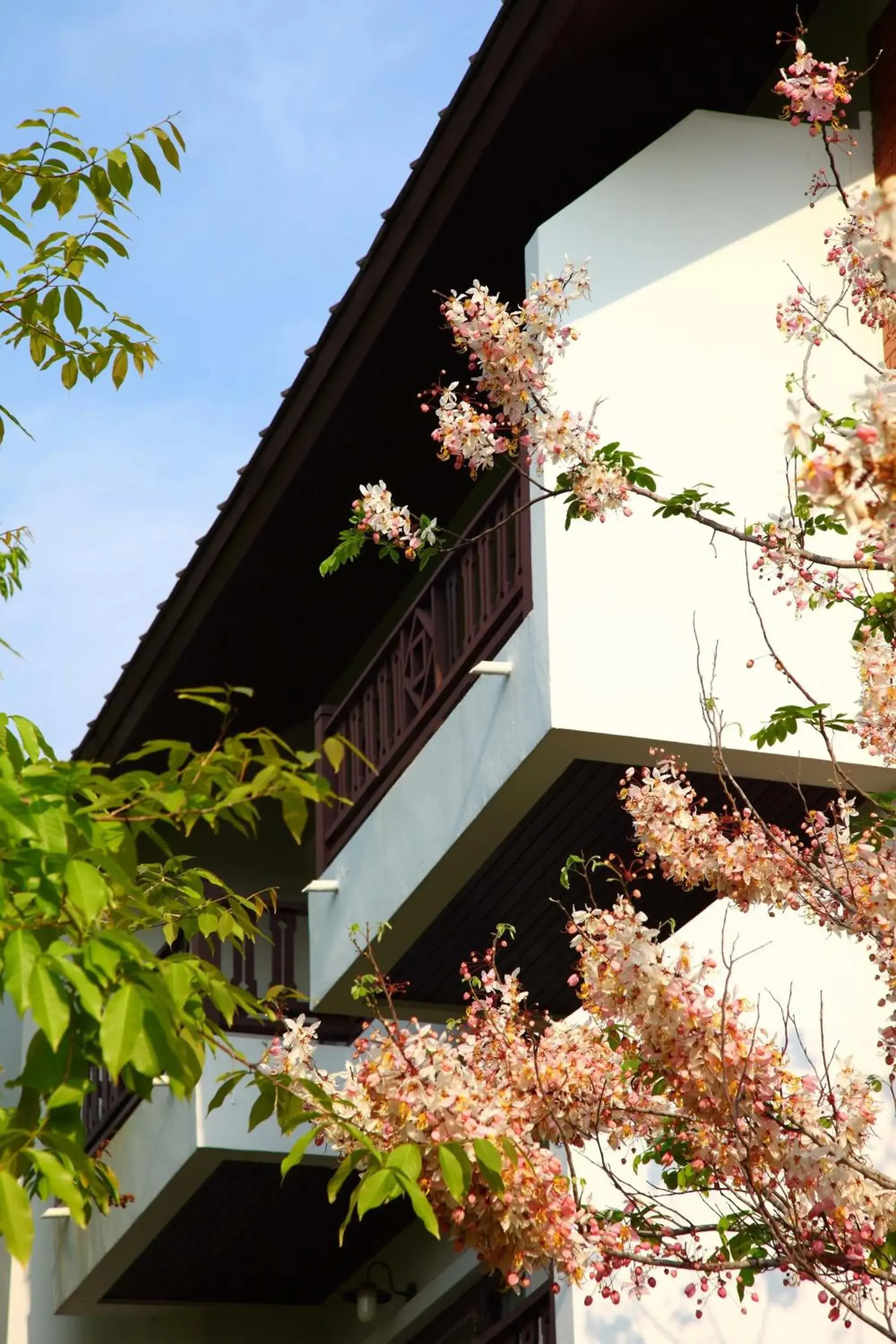 Facade/entrance in Korat Resort Hotel Facade/entrance in Korat Resort Hotel