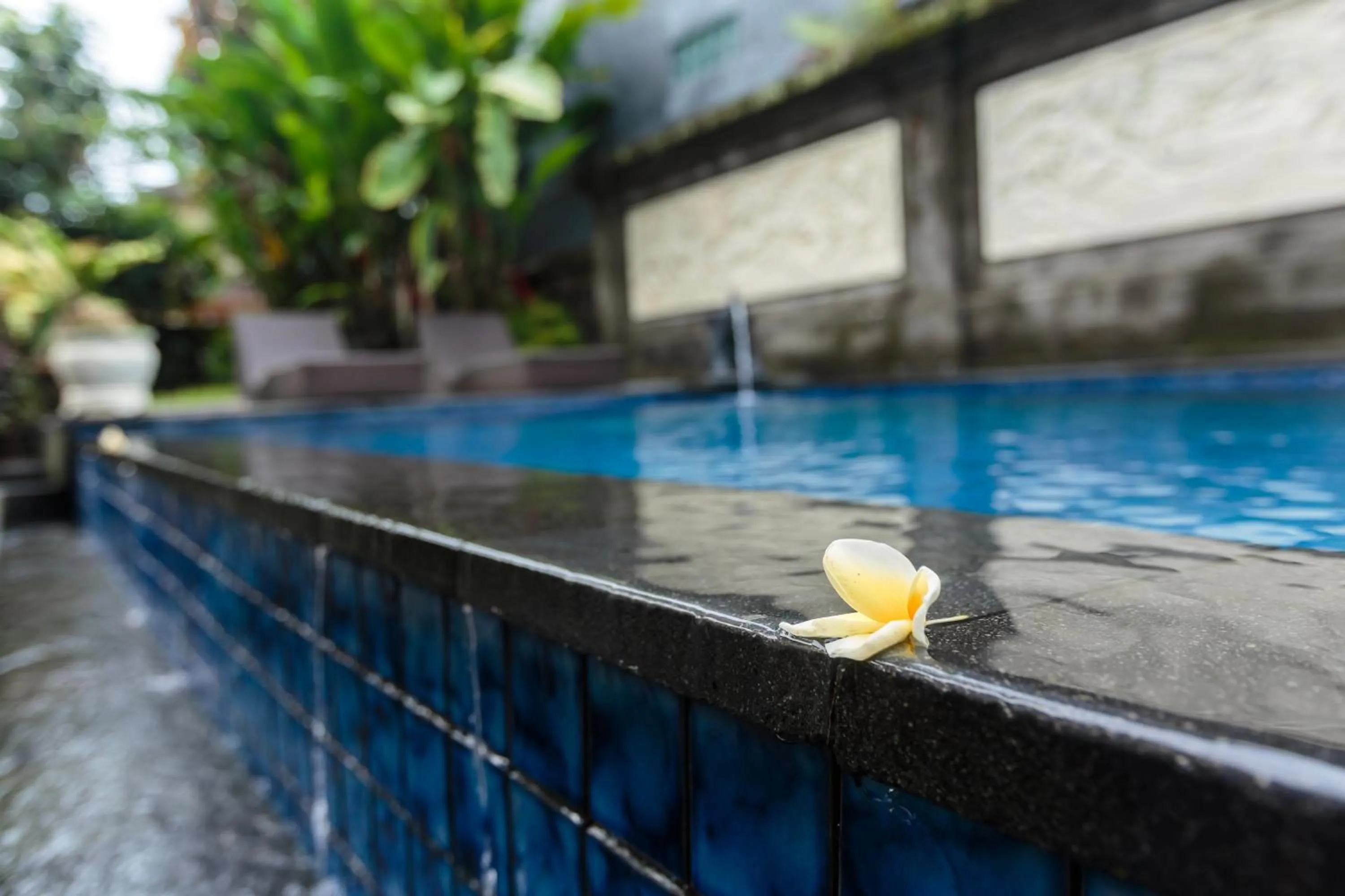 Swimming pool in Warji House 2 Bisma