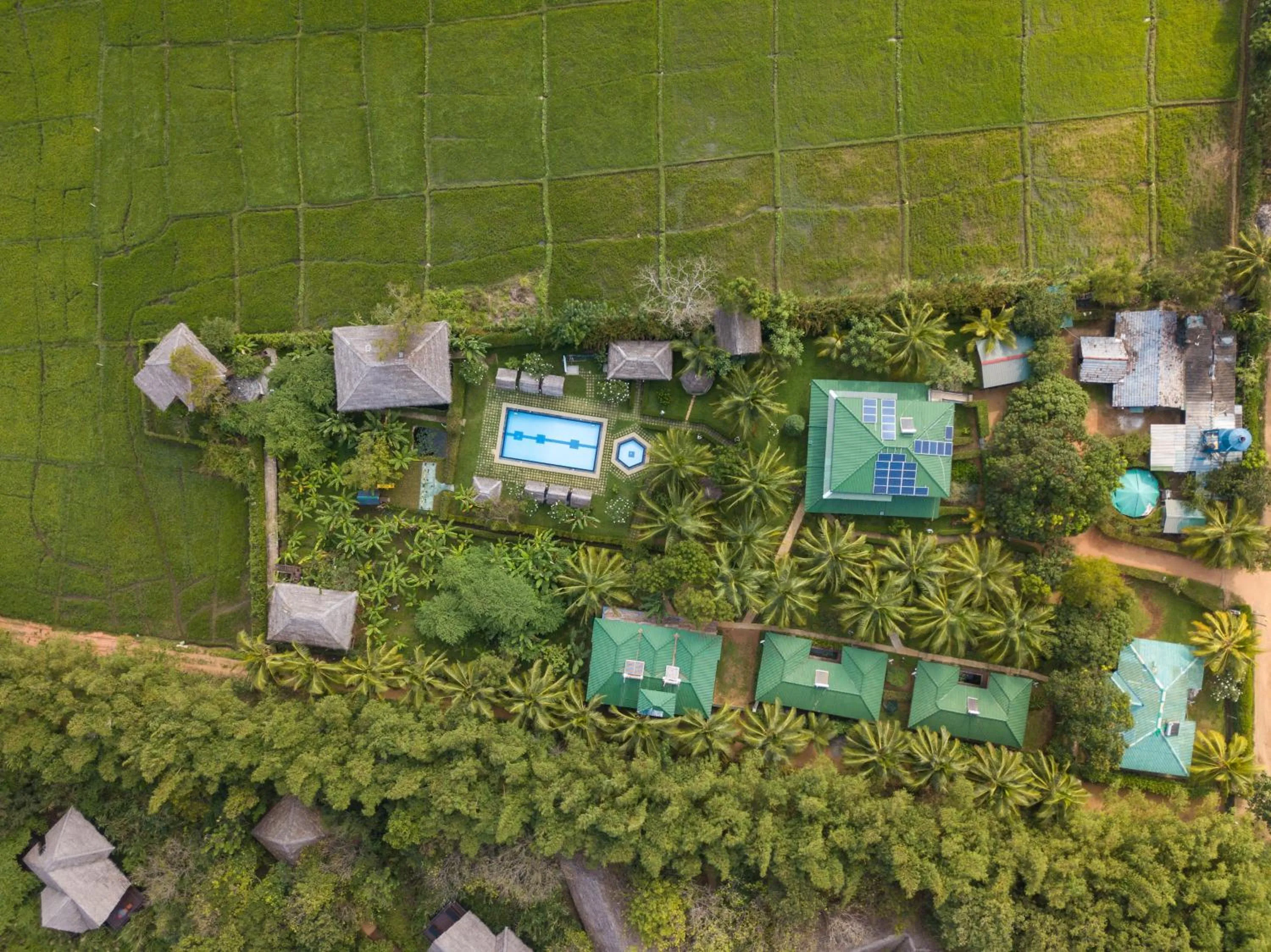 Bird's eye view in The Hideout Sigiriya