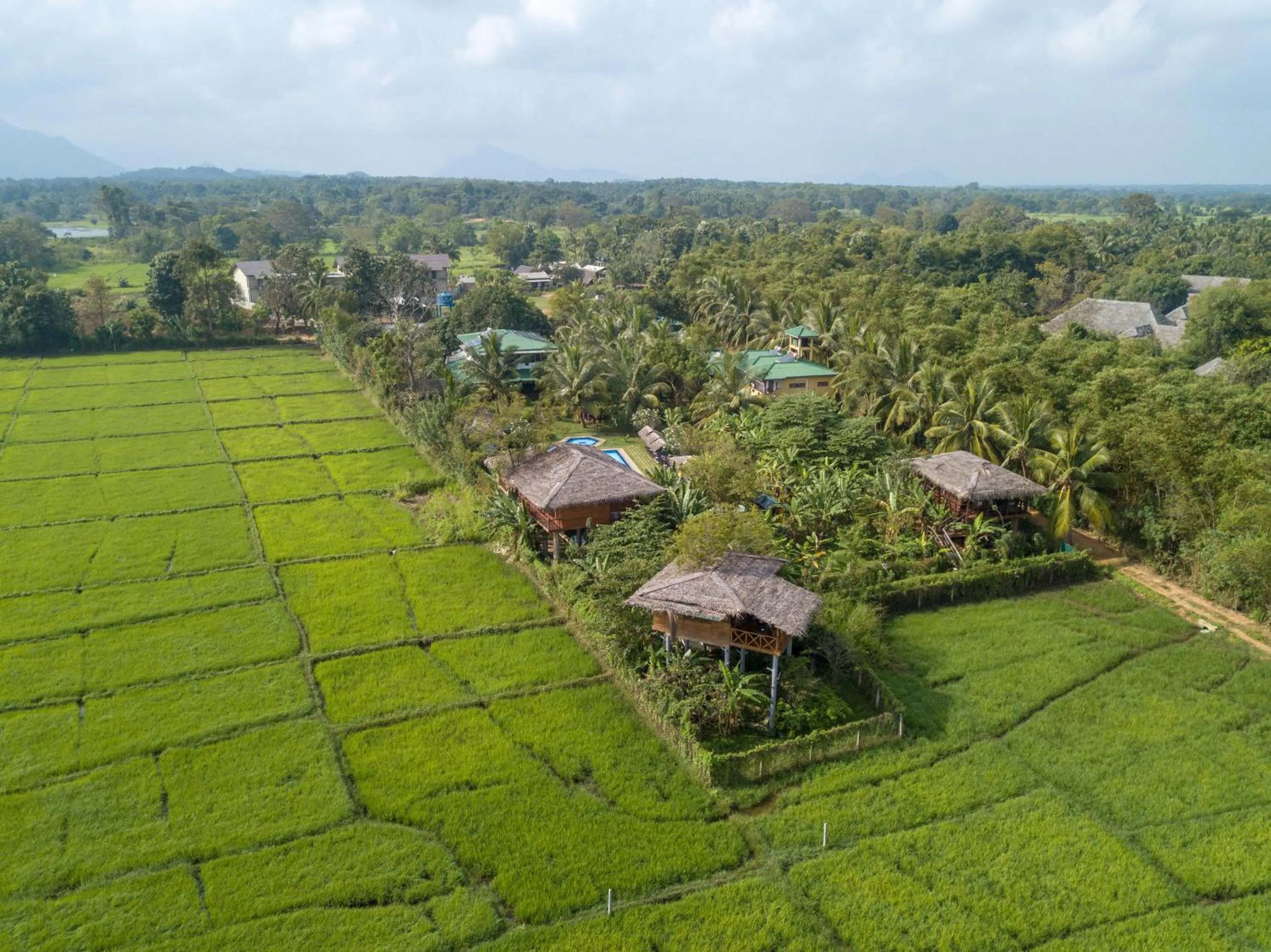 Bird's eye view in The Hideout Sigiriya