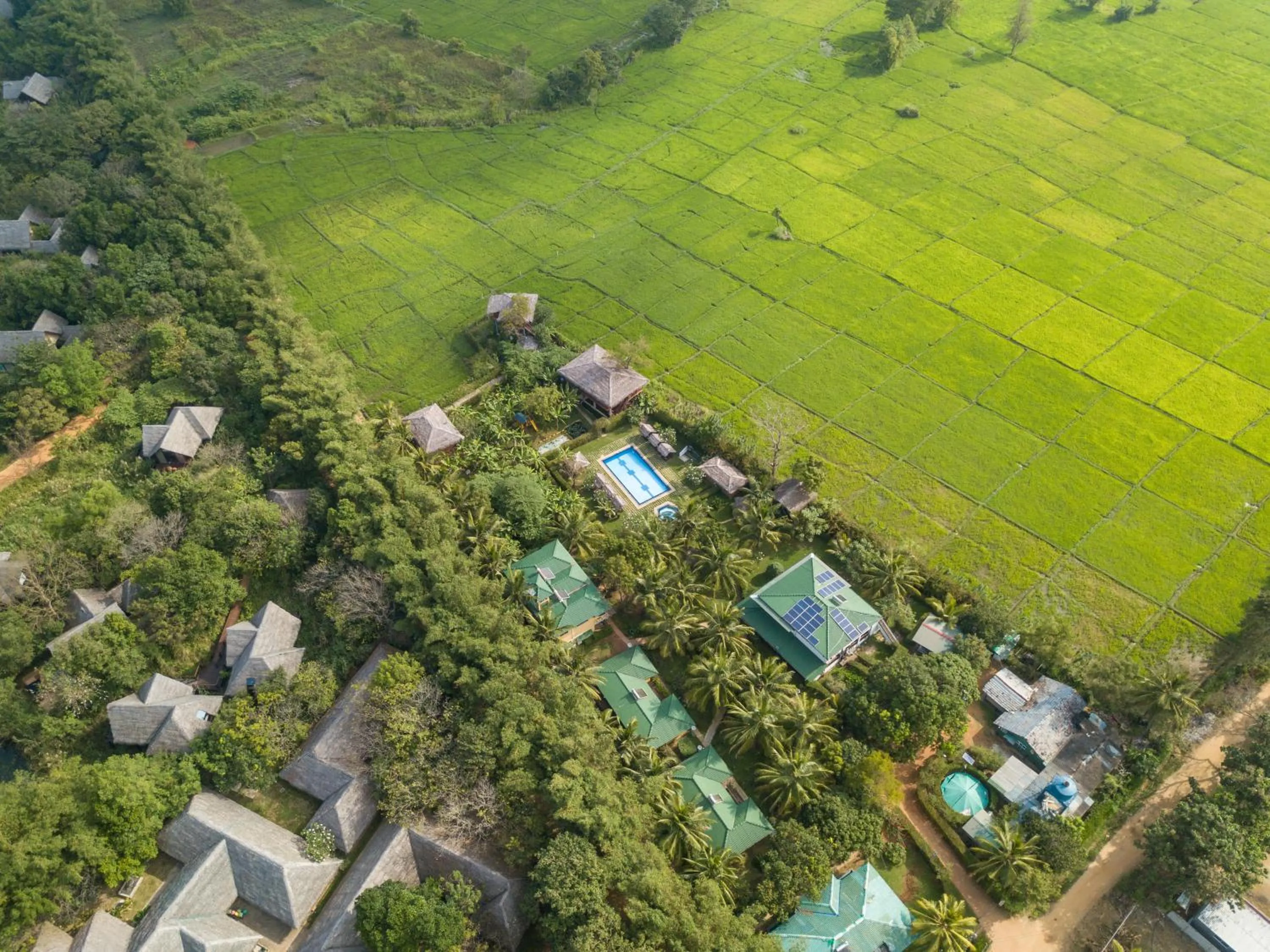 Bird's eye view in The Hideout Sigiriya