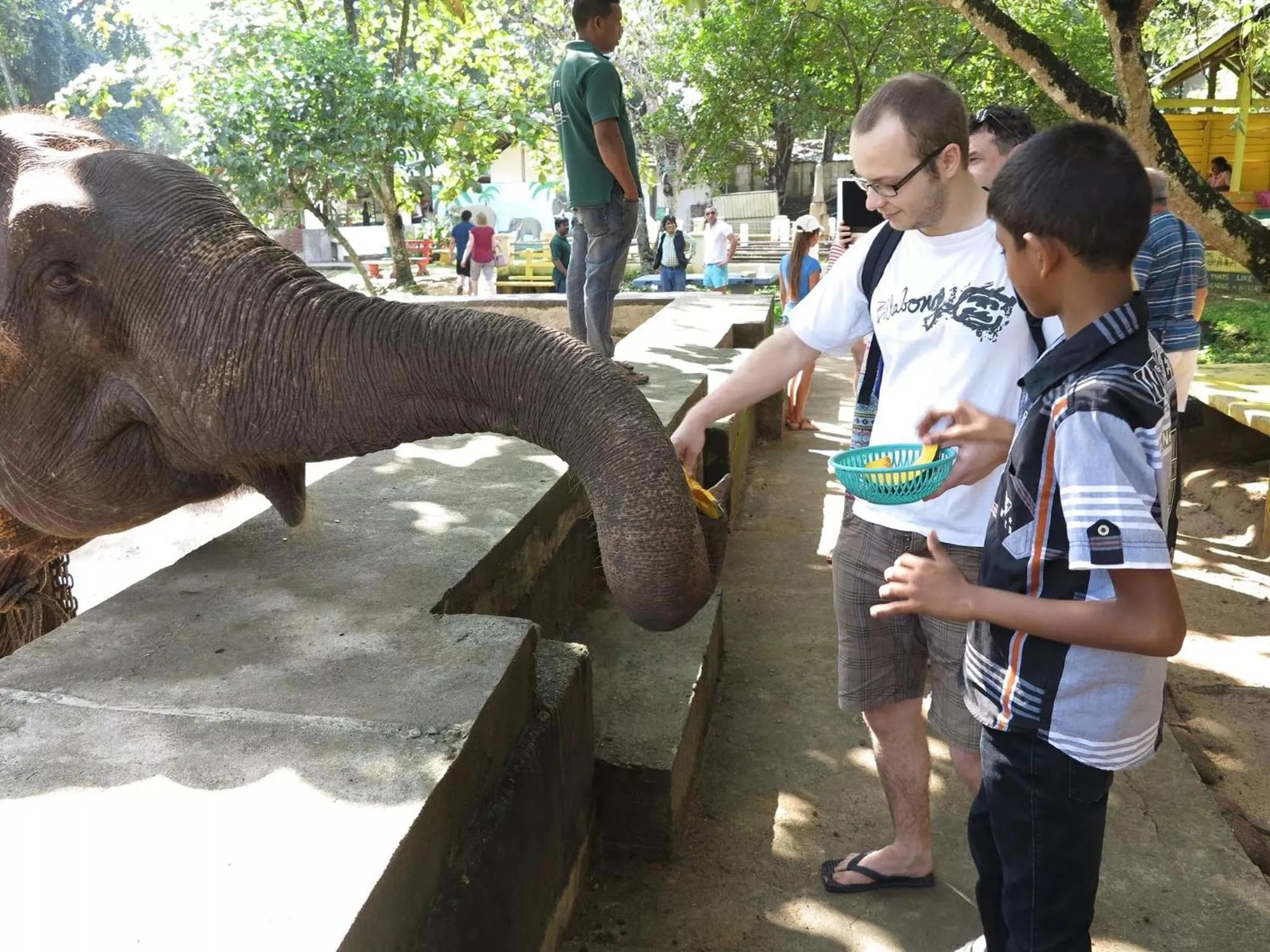 Area and facilities in Suwani Pinnawala Homestay