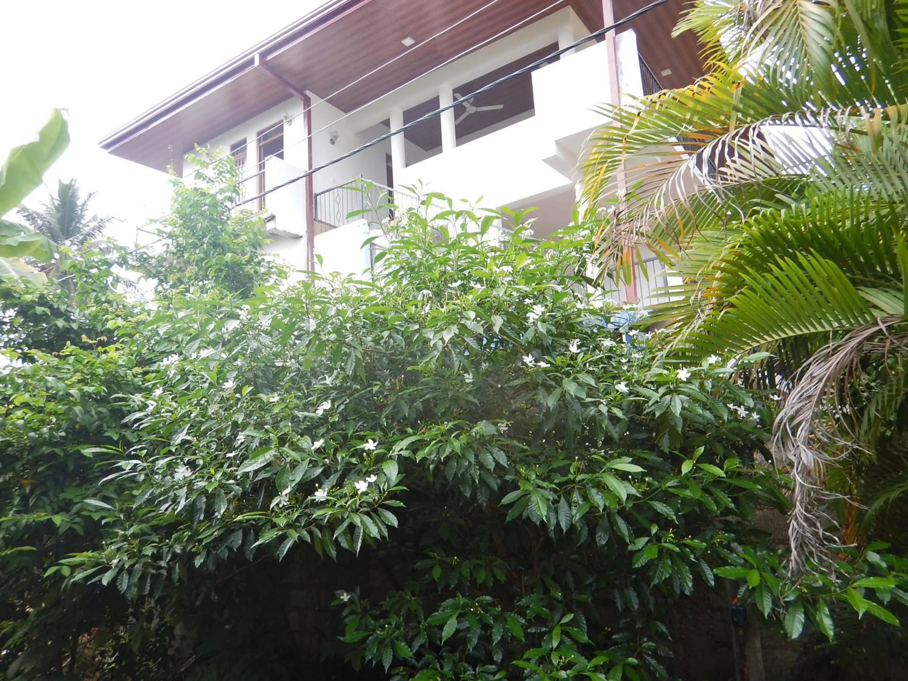Property building in Suwani Pinnawala Homestay