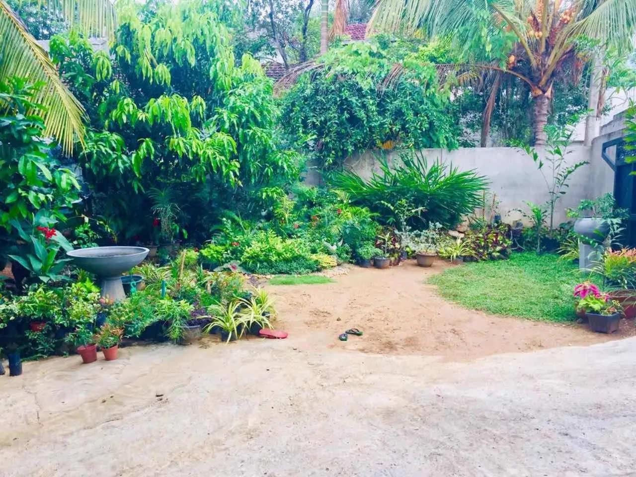 Suwani Pinnawala Homestay