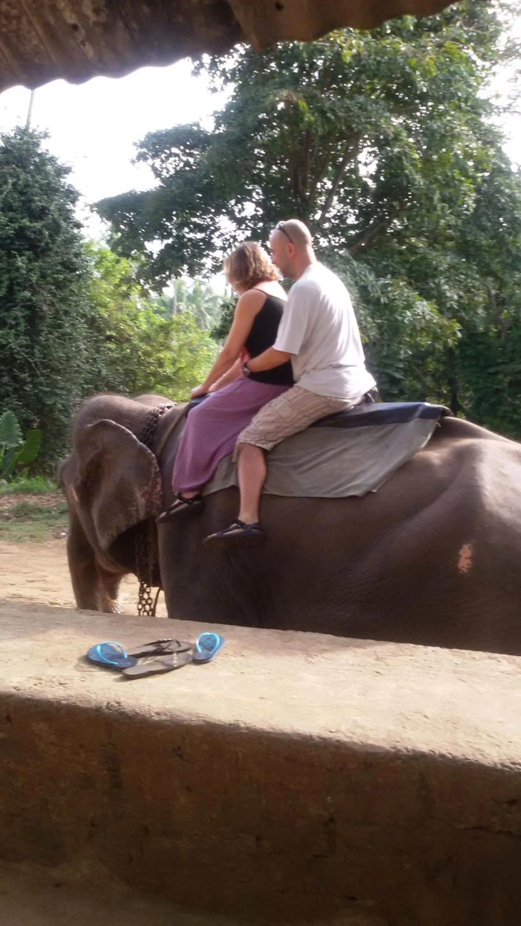 Area and facilities in Suwani Pinnawala Homestay