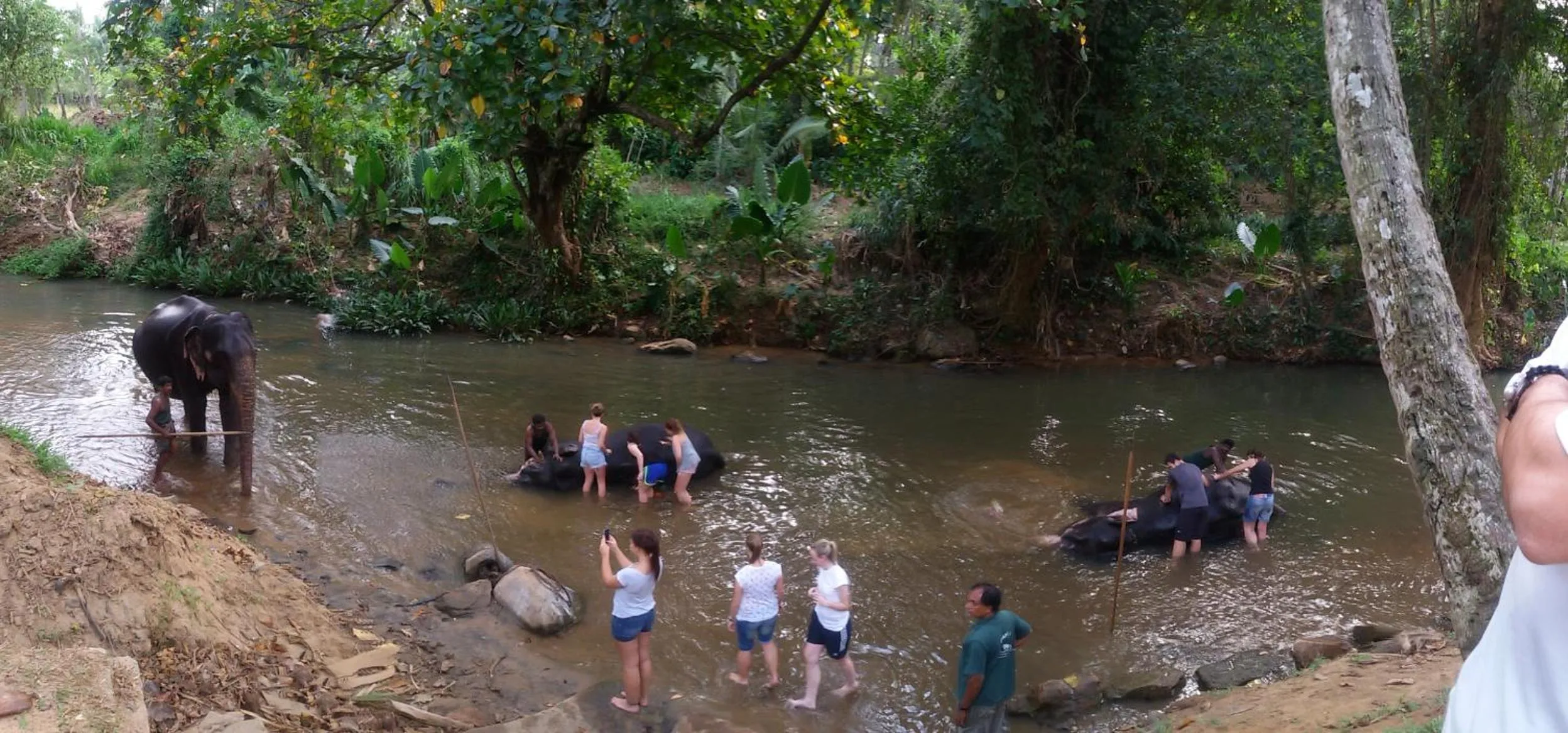 Suwani Pinnawala Homestay