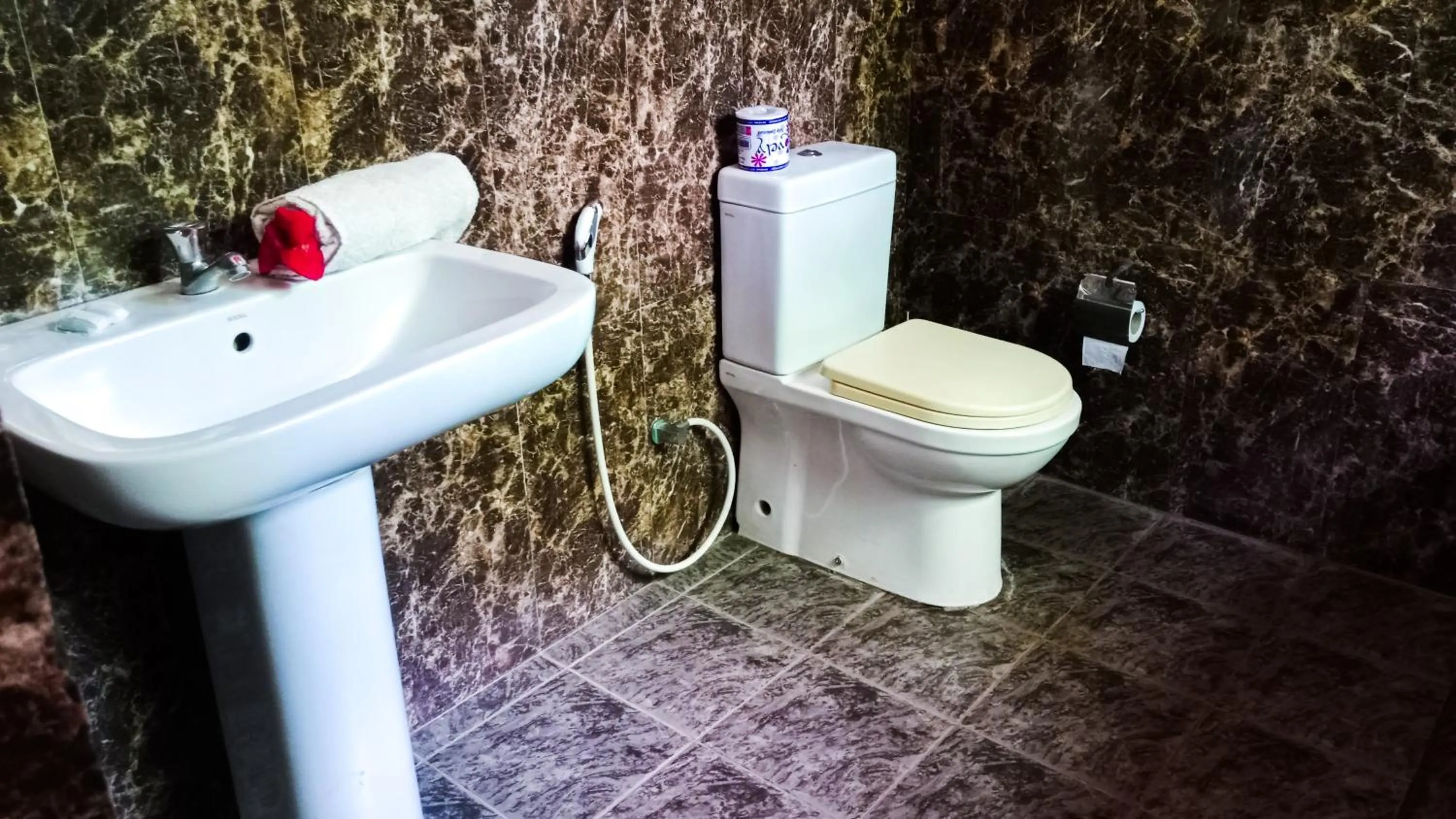 Toilet in Sigiri Thilanka Rest Sigiriya