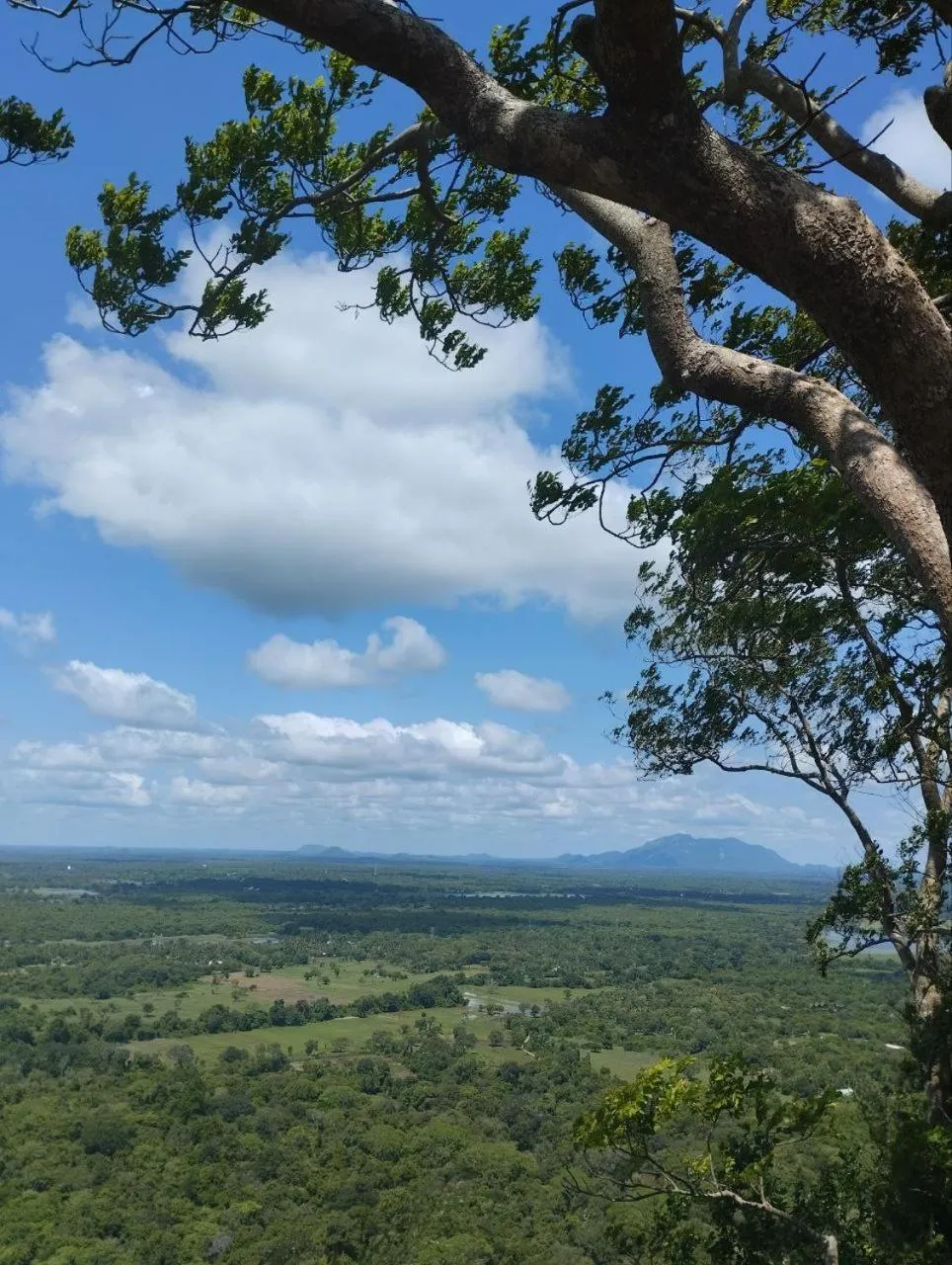Landmark view in Sigiri Thilanka Rest Sigiriya