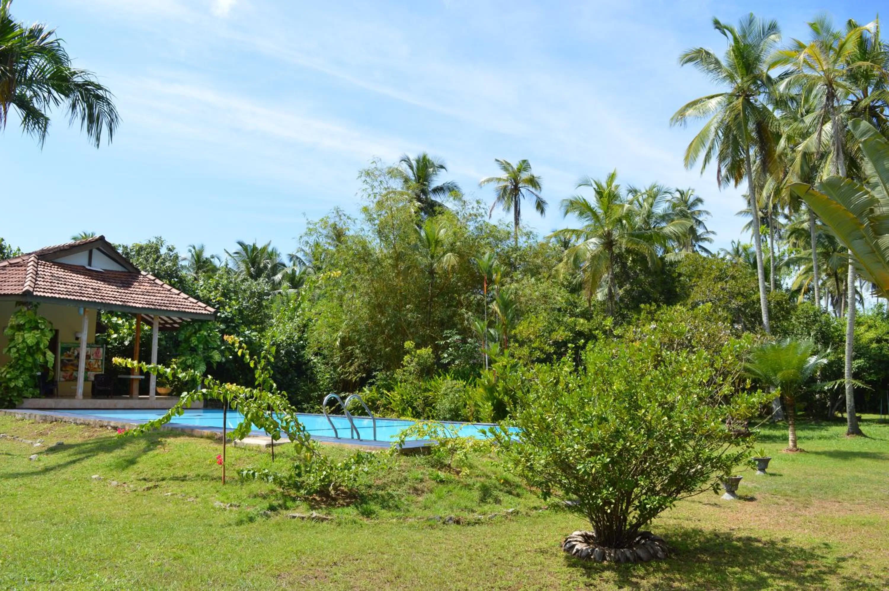 Garden in Zum Deutschen