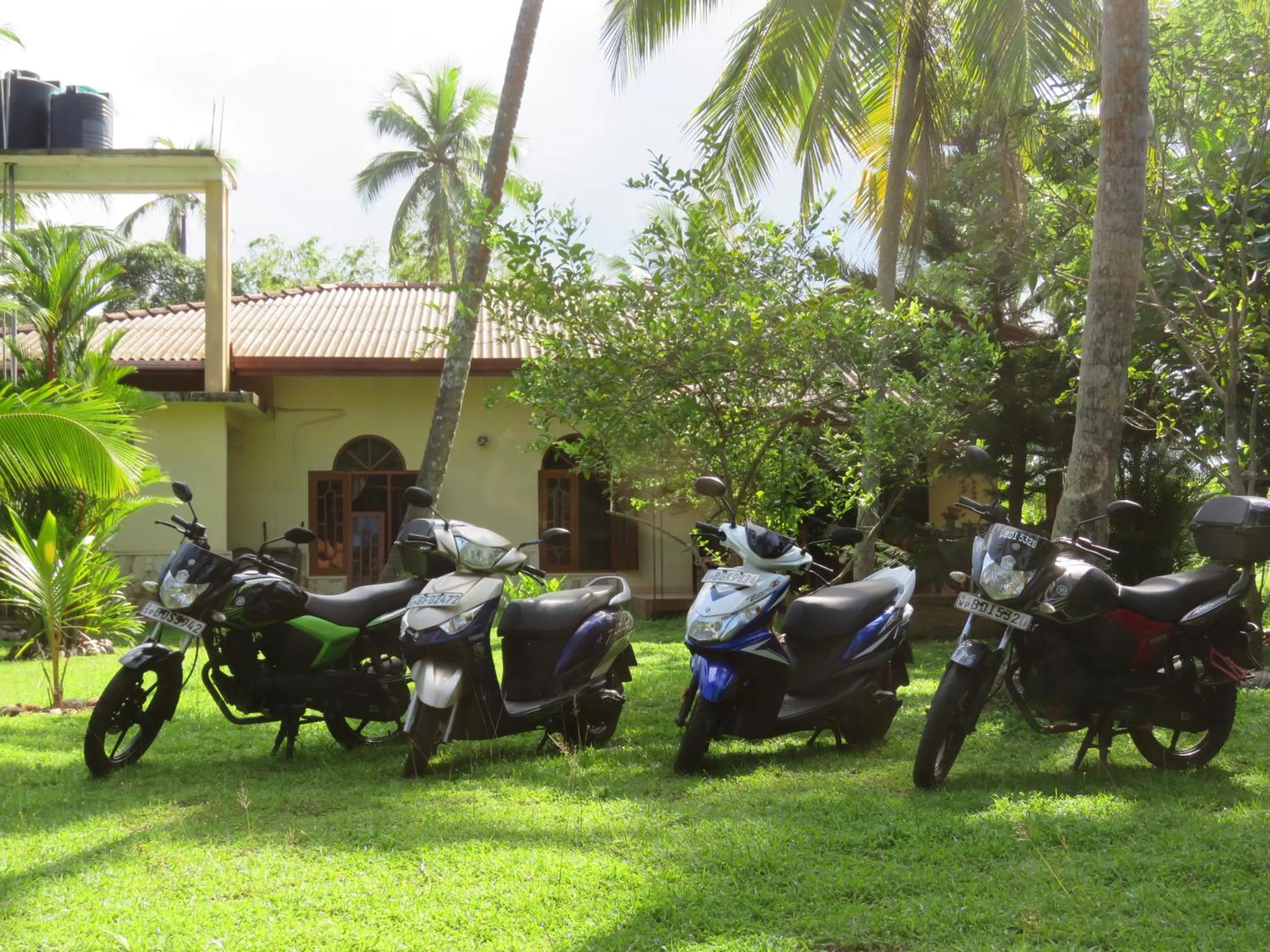 Sports in Zum Deutschen