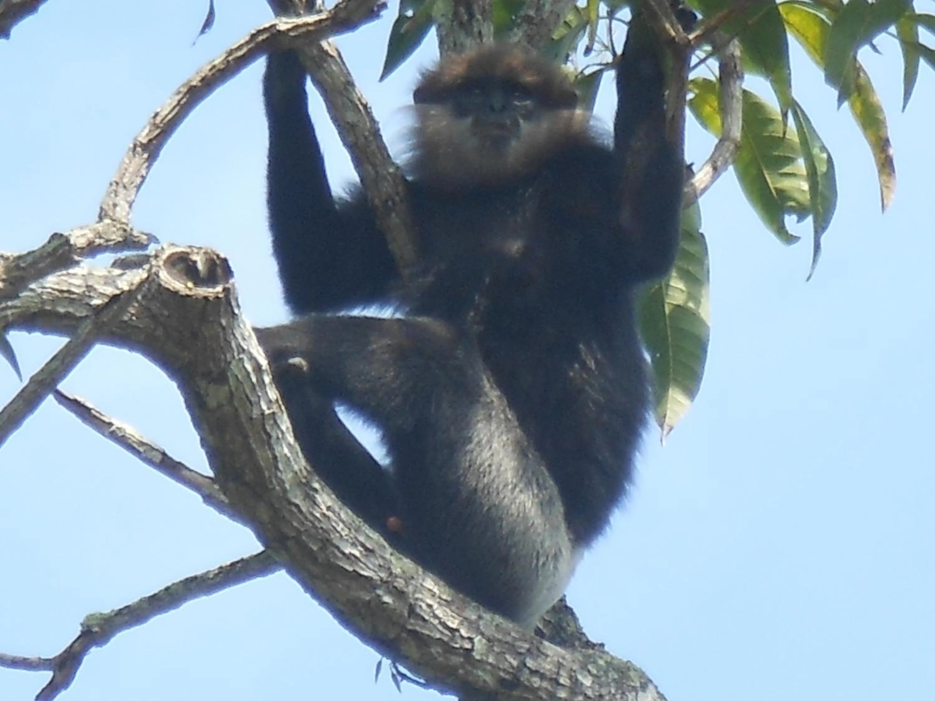 Day in Zum Deutschen