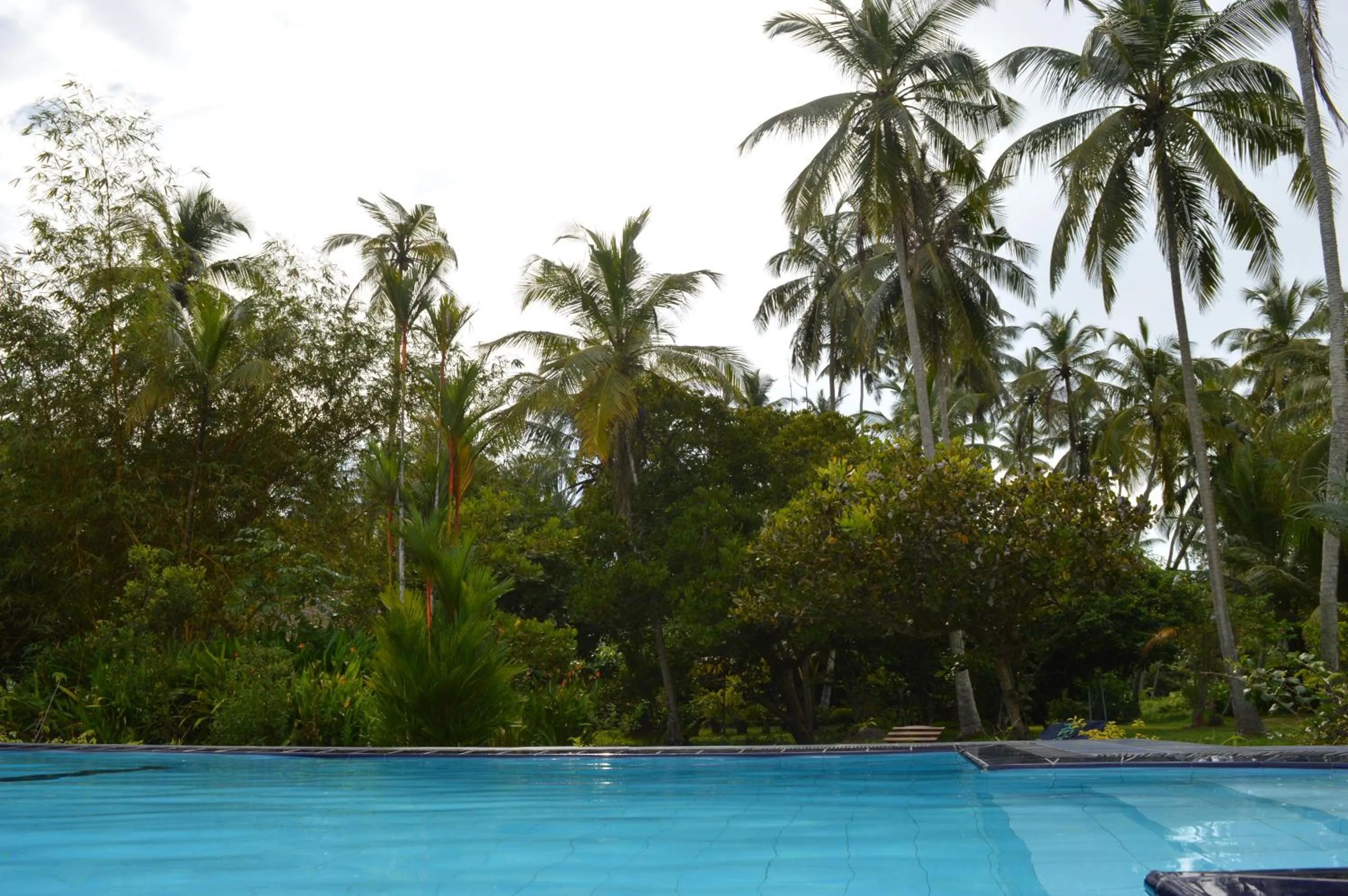 Natural landscape in Zum Deutschen