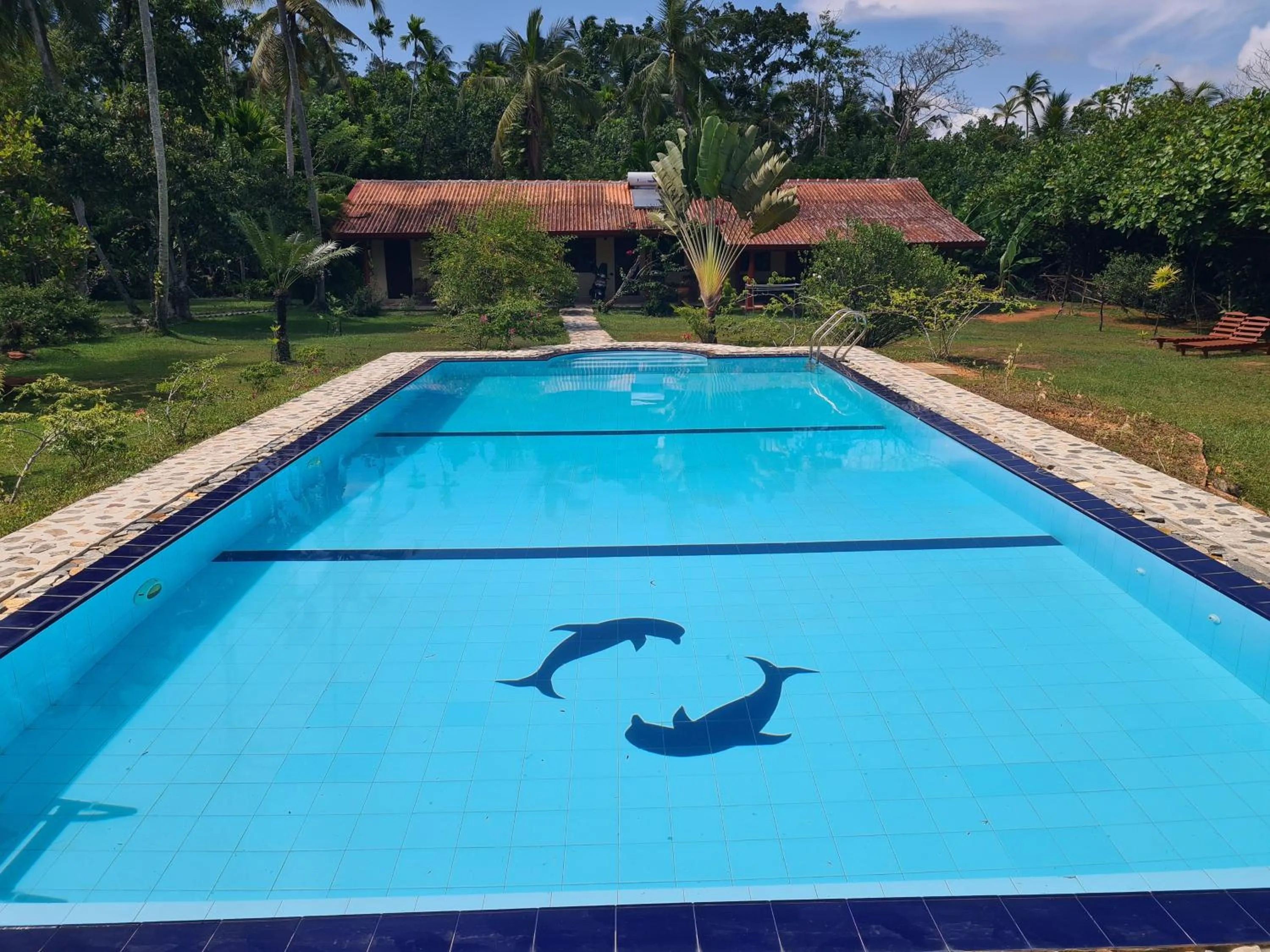 Swimming pool in Zum Deutschen