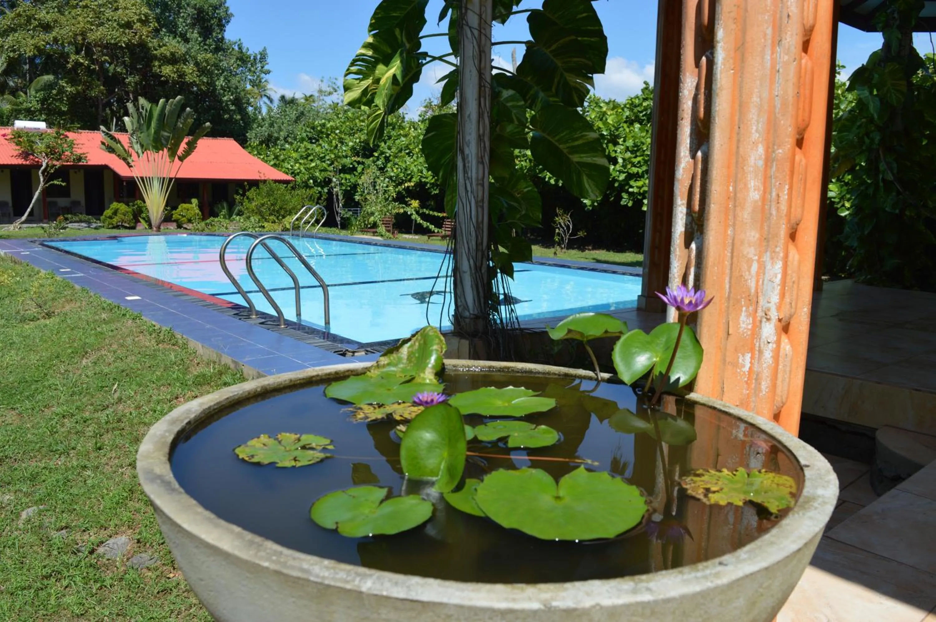 Garden in Zum Deutschen
