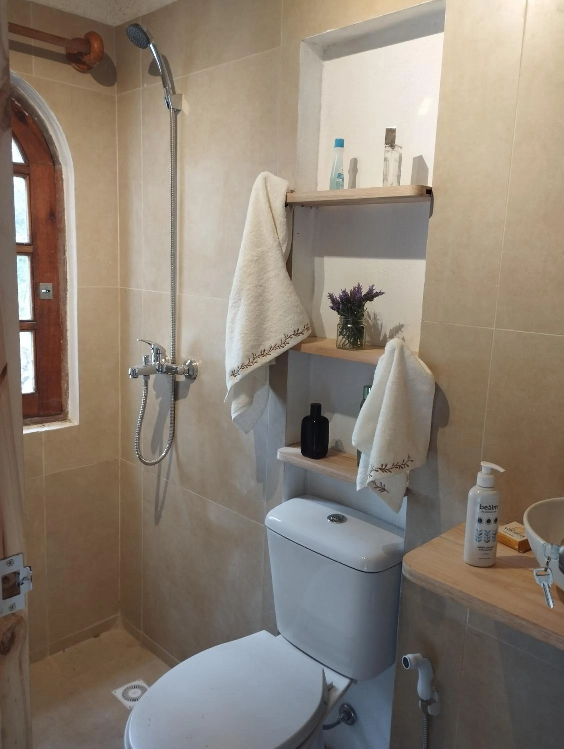 Bathroom in Los Mochos Portezuelo