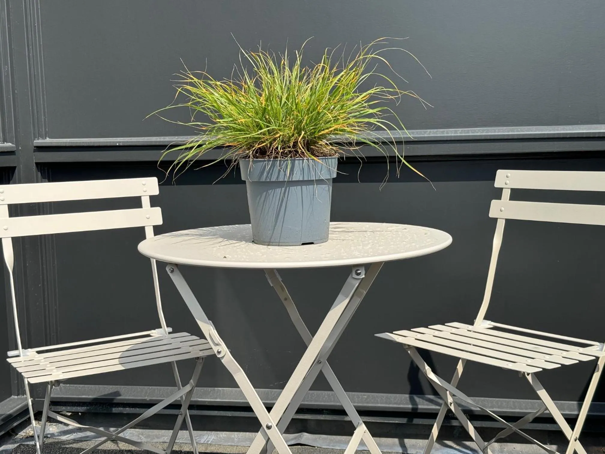 Balcony/Terrace in Boutique Hotel Hans - Amsterdam Schiphol Airport