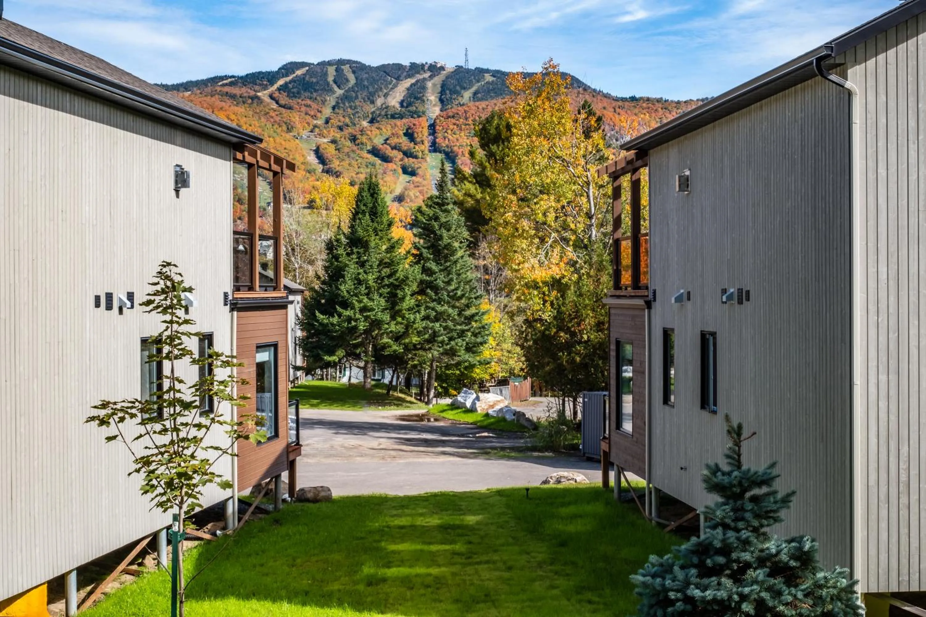 Les Chalets Sauvignon