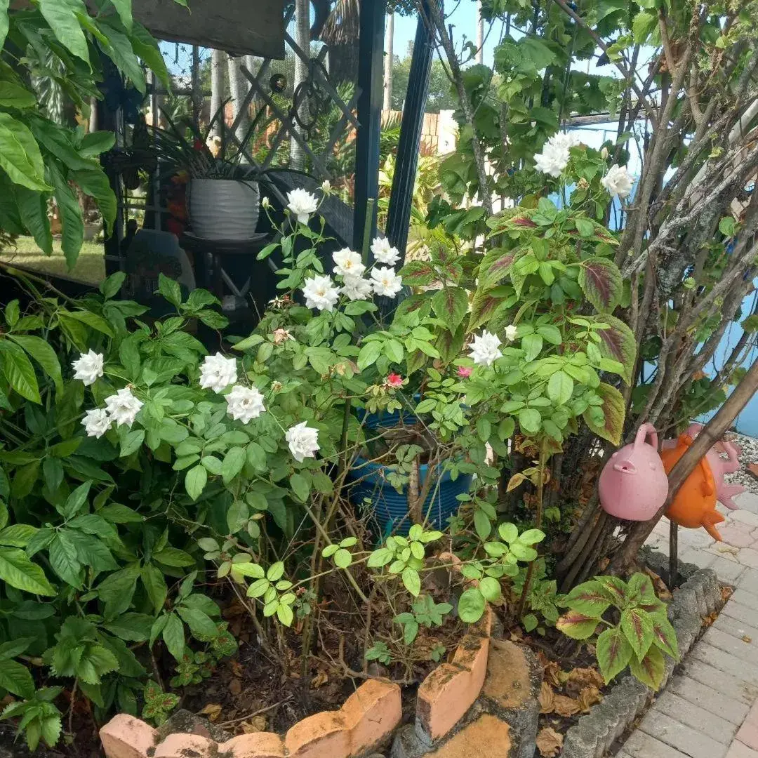 Double Room in Hotel Villa Ordonez Double Room in Hotel Villa Ordonez