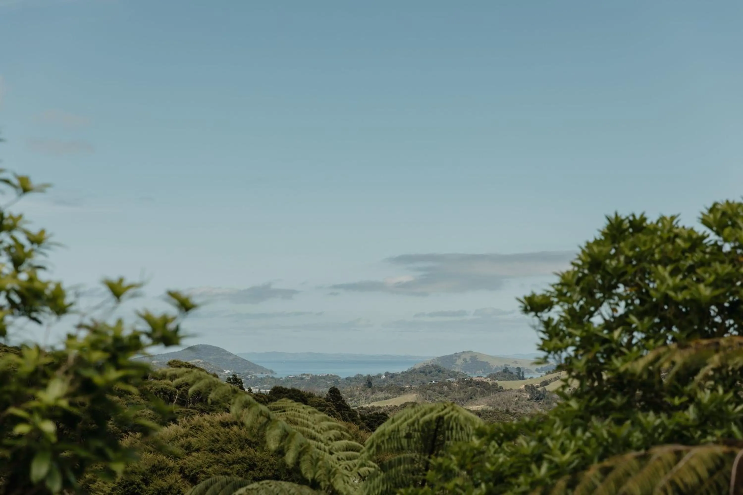 View (from property/room) in Buffalo Lodge