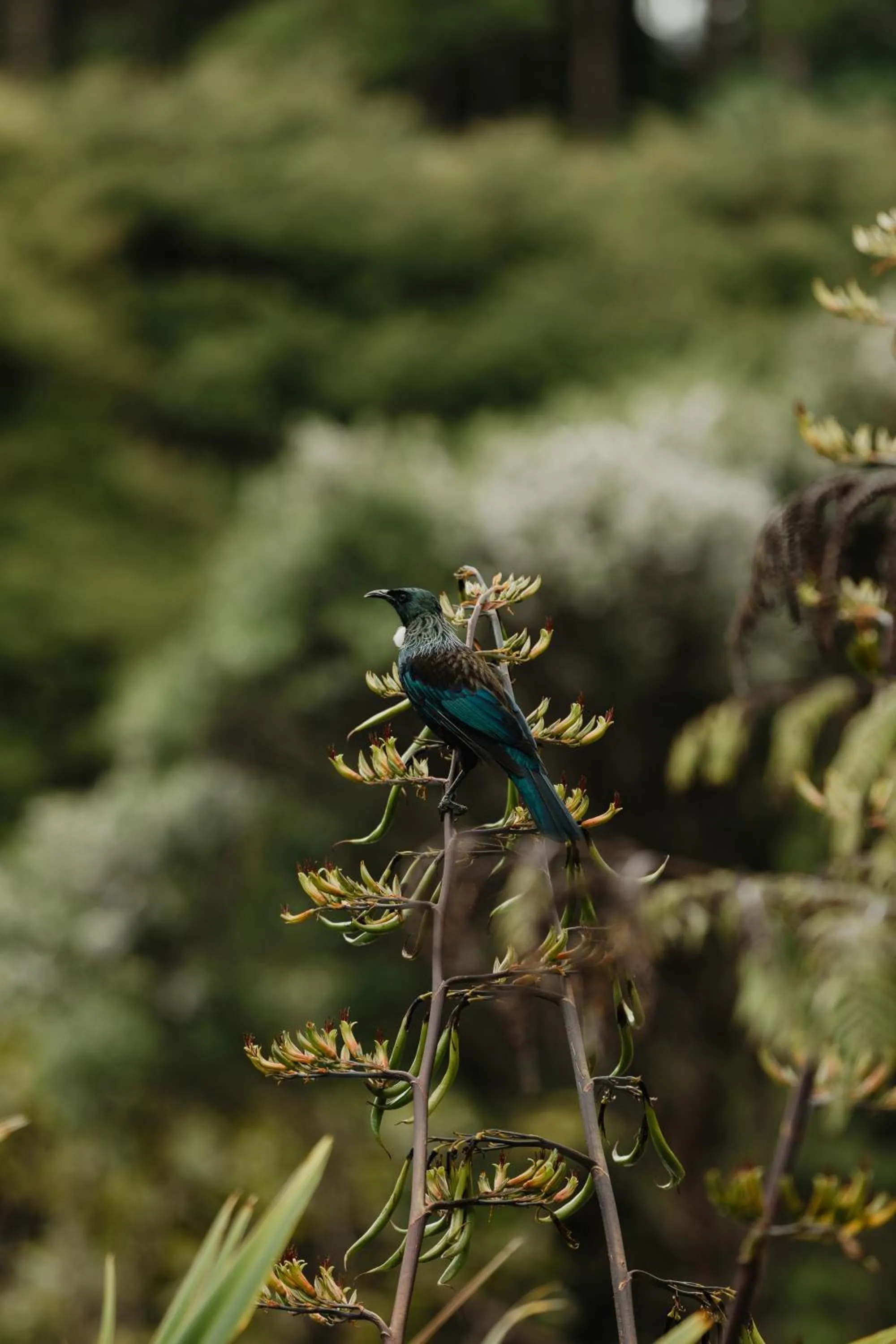 View (from property/room) in Buffalo Lodge