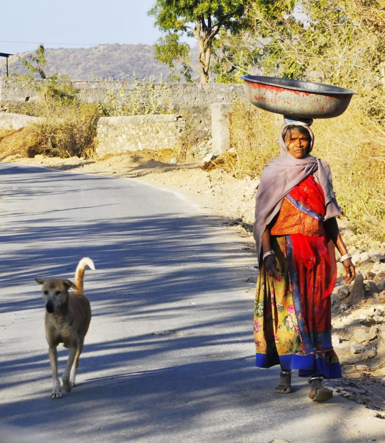 TatSaraasa Resort & Spa, Udaipur
