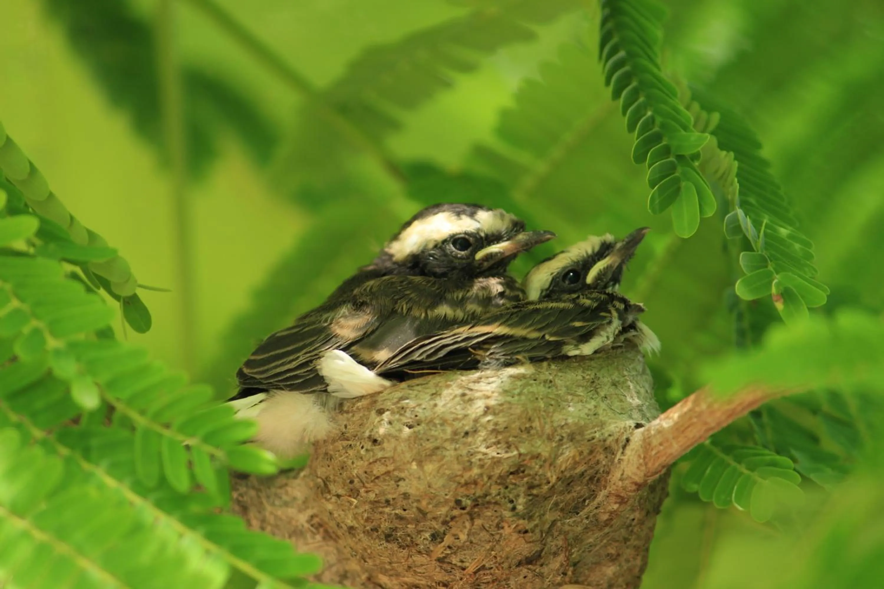 People in TatSaraasa Resort & Spa, Udaipur
