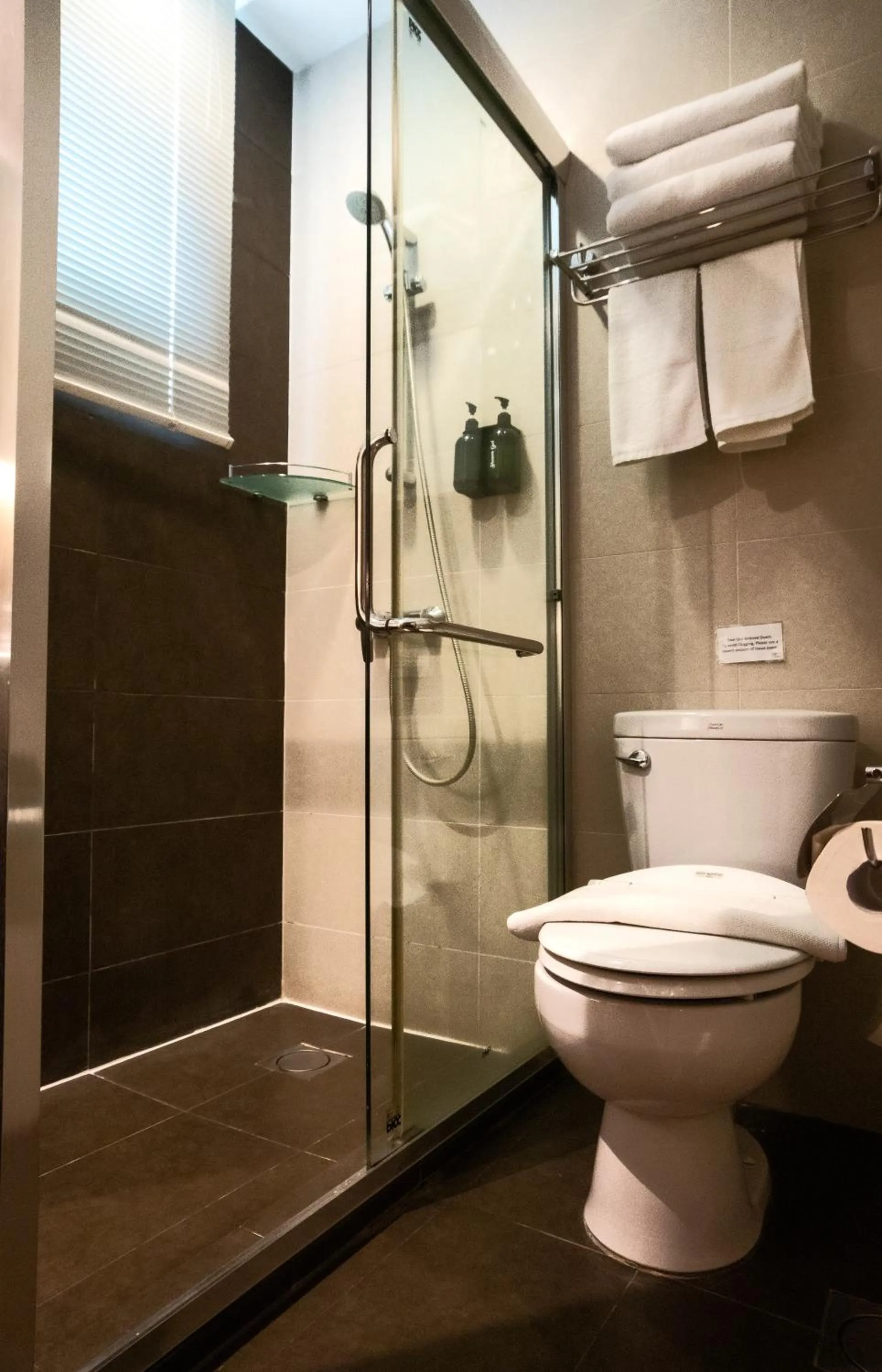 Shower in Swiss Hotel Apartment