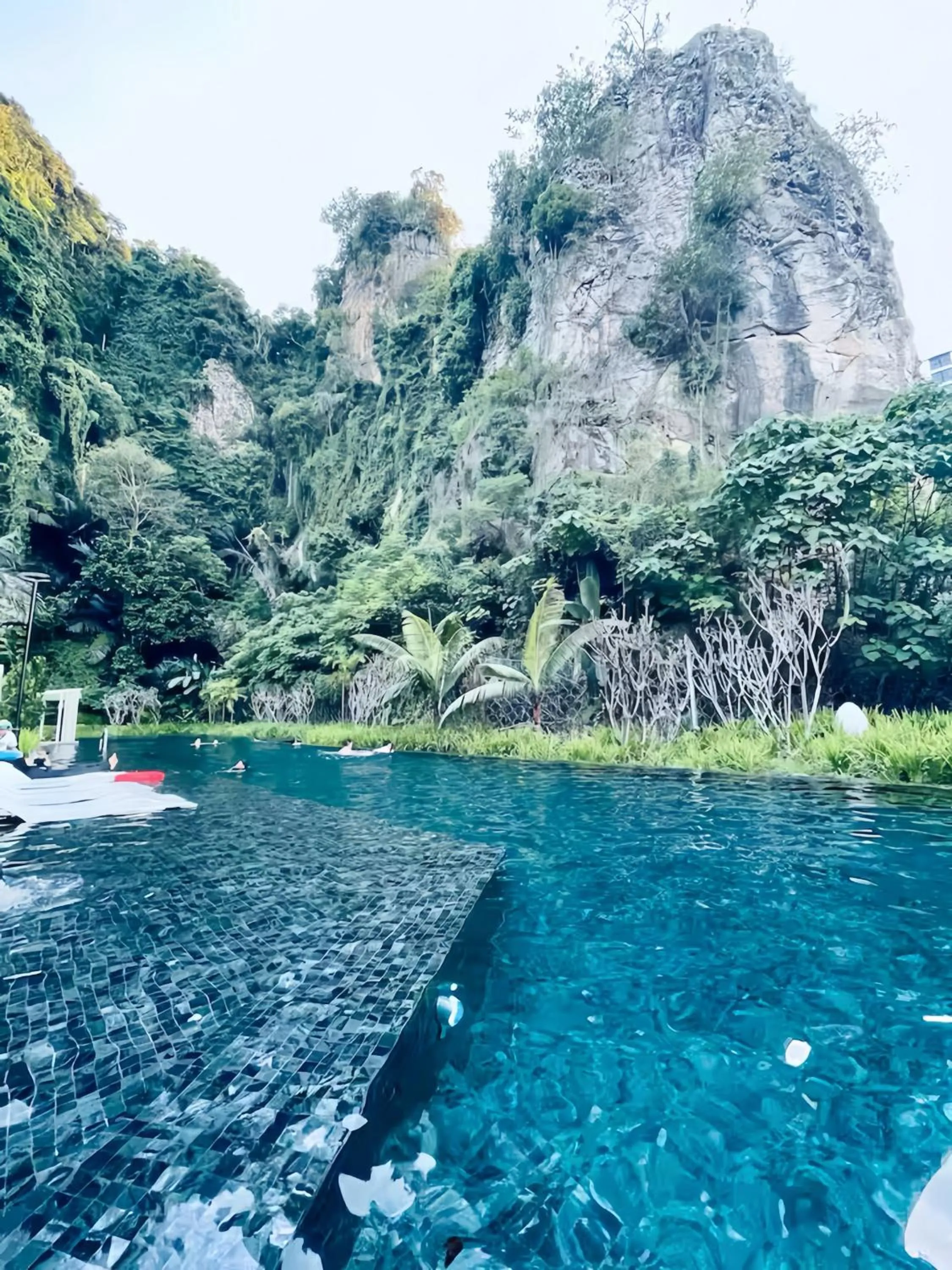 Natural landscape in The Cove Hillside Residence Ipoh